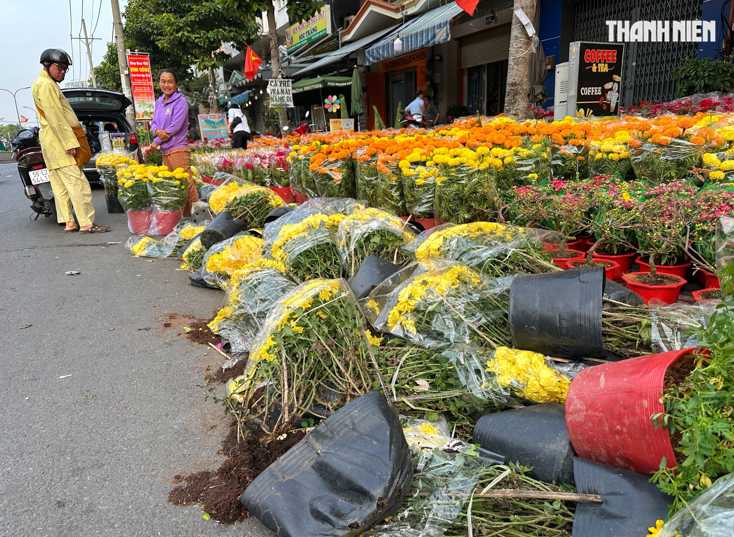 27 tết: Hoa c&uacute;c chất đống nằm la liệt ở TP.HCM, người b&aacute;n n&oacute;i c&acirc;u nghẹn l&ograve;ng  - Ảnh 1.