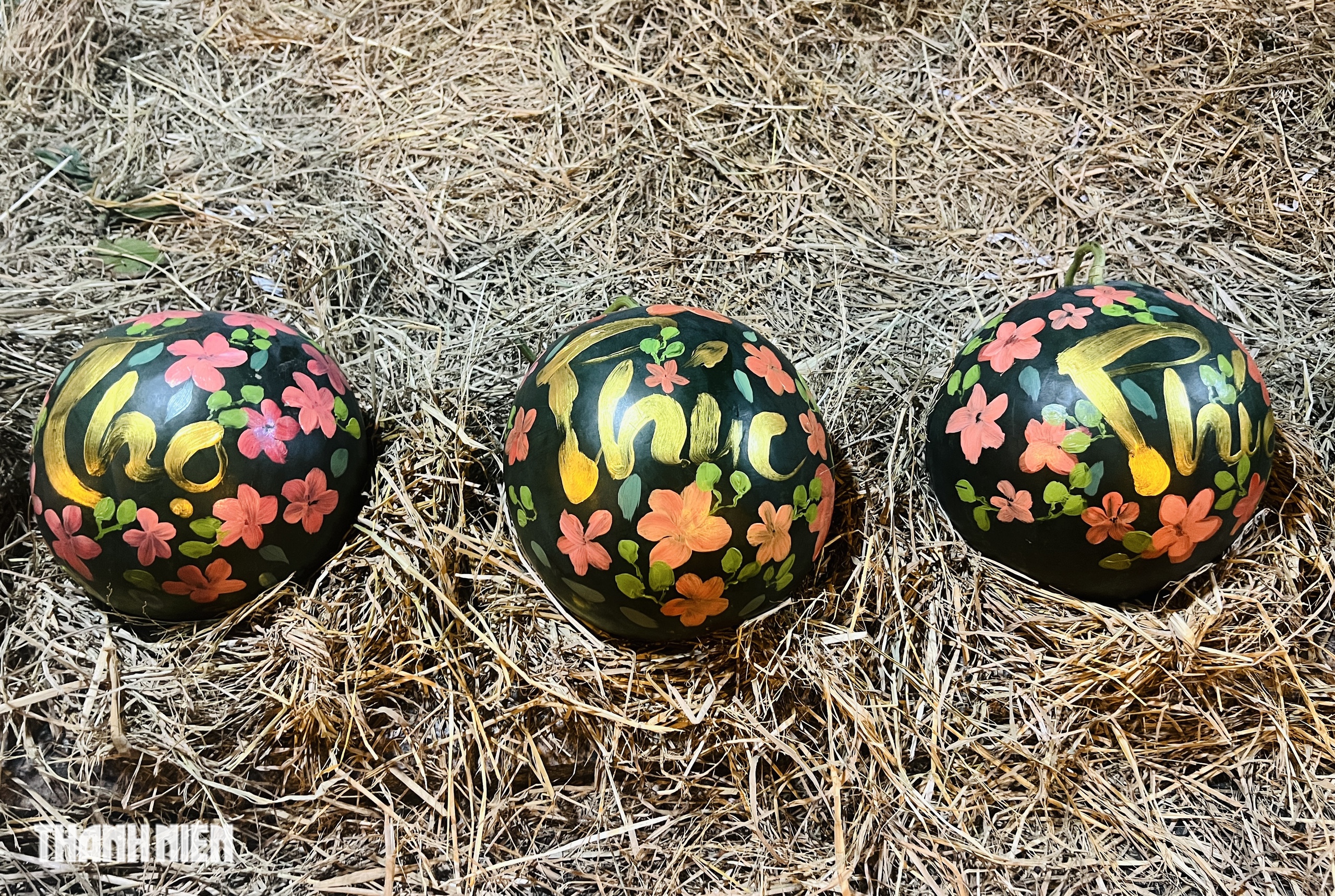 Kiếm tiền ti&ecirc;u tết b&ecirc;n vựa dưa hấu: Họa sĩ trẻ tiết lộ thu nhập - Ảnh 3.