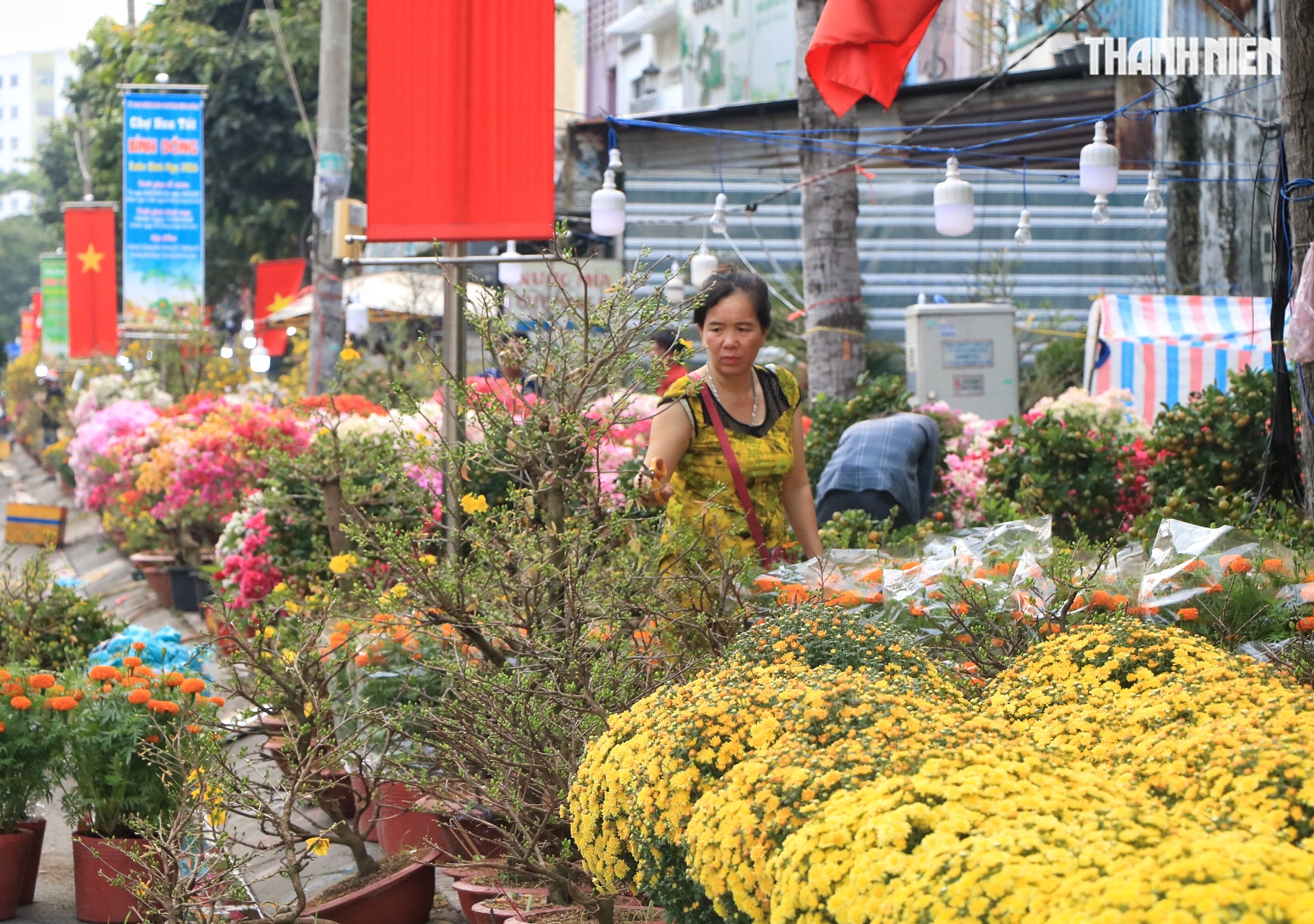 27 tết: Hoa c&uacute;c chất đống nằm la liệt ở TP.HCM, người b&aacute;n n&oacute;i c&acirc;u nghẹn l&ograve;ng  - Ảnh 9.