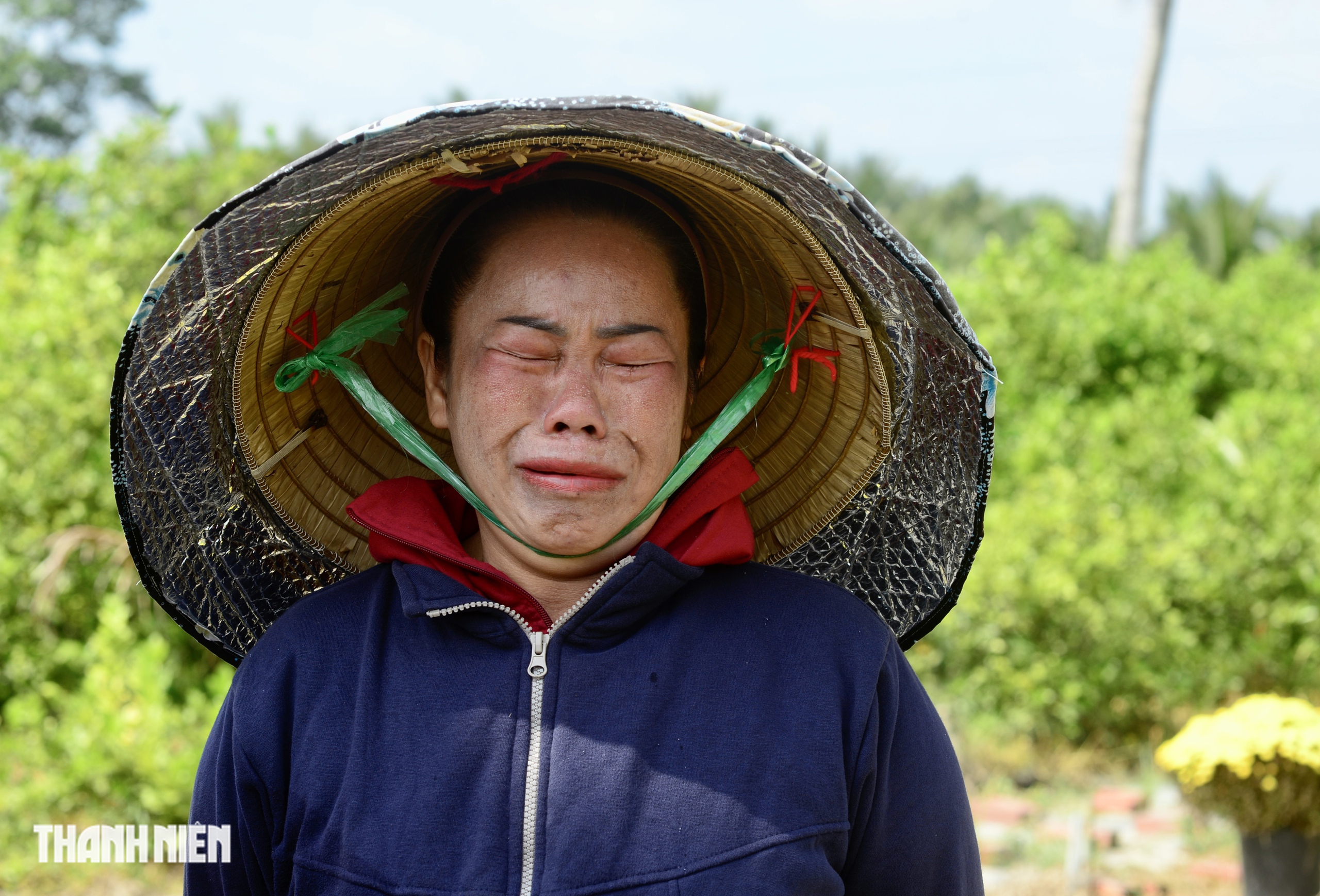 3 đời trồng hoa tết vẫn bất lực trước thiên nhiên: Lỗ 200 triệu đồng - Ảnh 1.