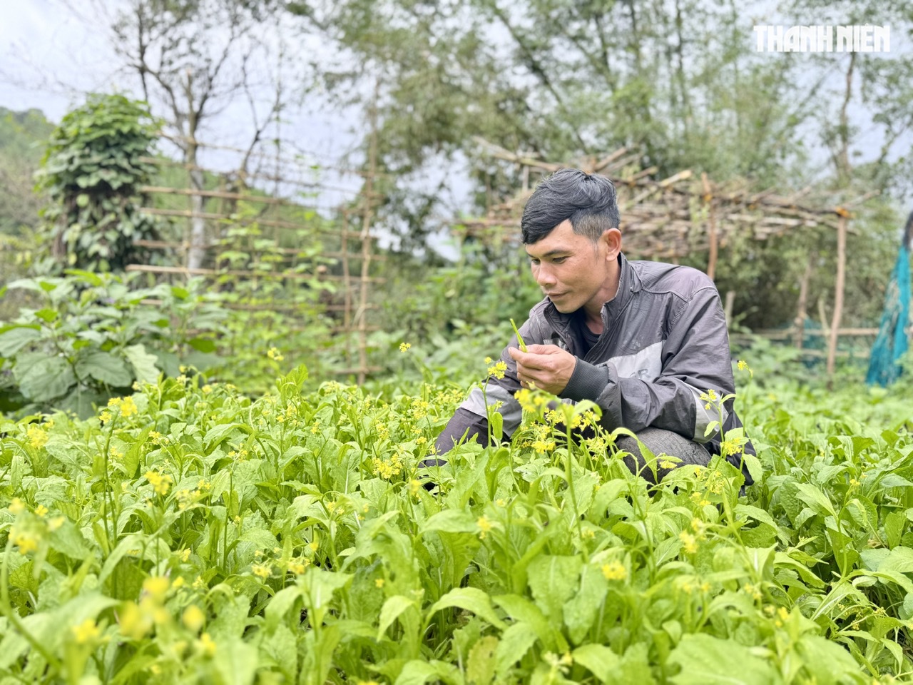 Tết về ở tổ dân cư '5 không' giữa đại ngàn Quảng Ngãi- Ảnh 9.