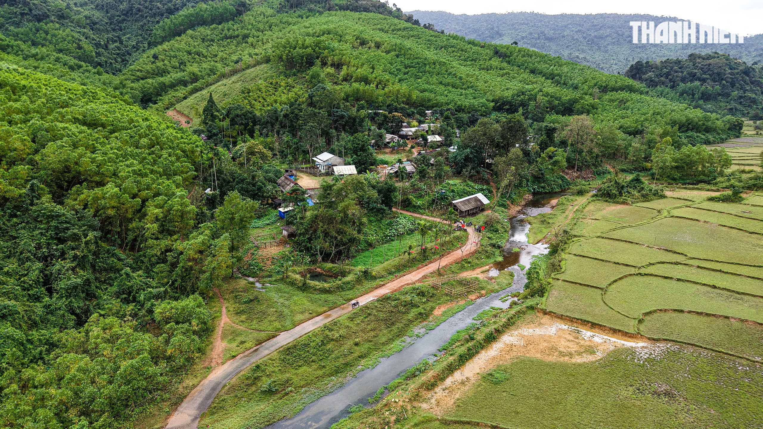 Tết về ở tổ dân cư '5 không' giữa đại ngàn Quảng Ngãi- Ảnh 2.