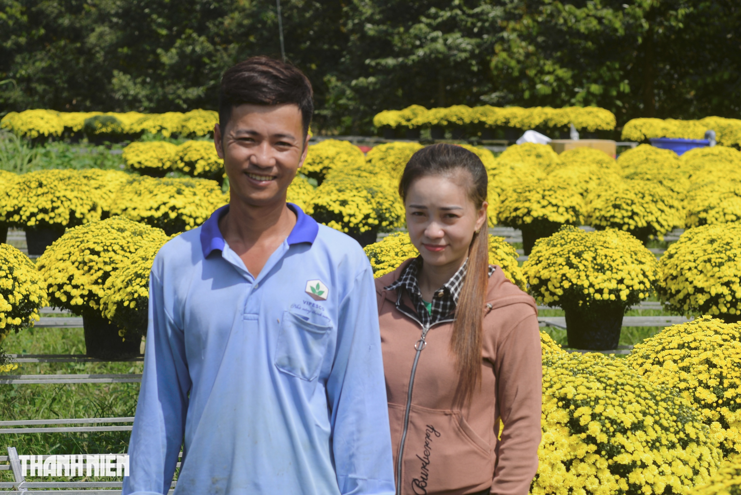 Vay ng&acirc;n h&agrave;ng trồng hoa tết thất bại: Nhưng mồ h&ocirc;i, nước mắt rồi sẽ kh&ocirc;! - Ảnh 1.