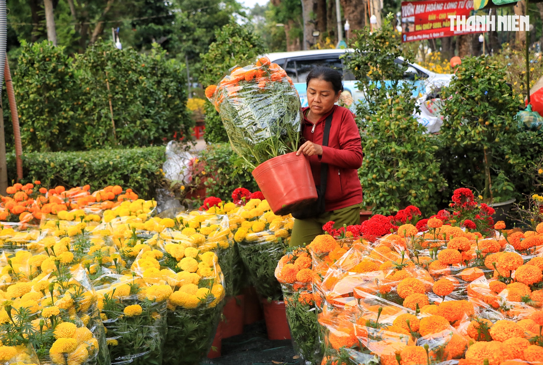 Chiều 27 tết, chợ hoa tết TP.HCM người b&aacute;n cười tươi: 'Sắp hết! Sắp về nh&agrave; rồi!' - Ảnh 9.