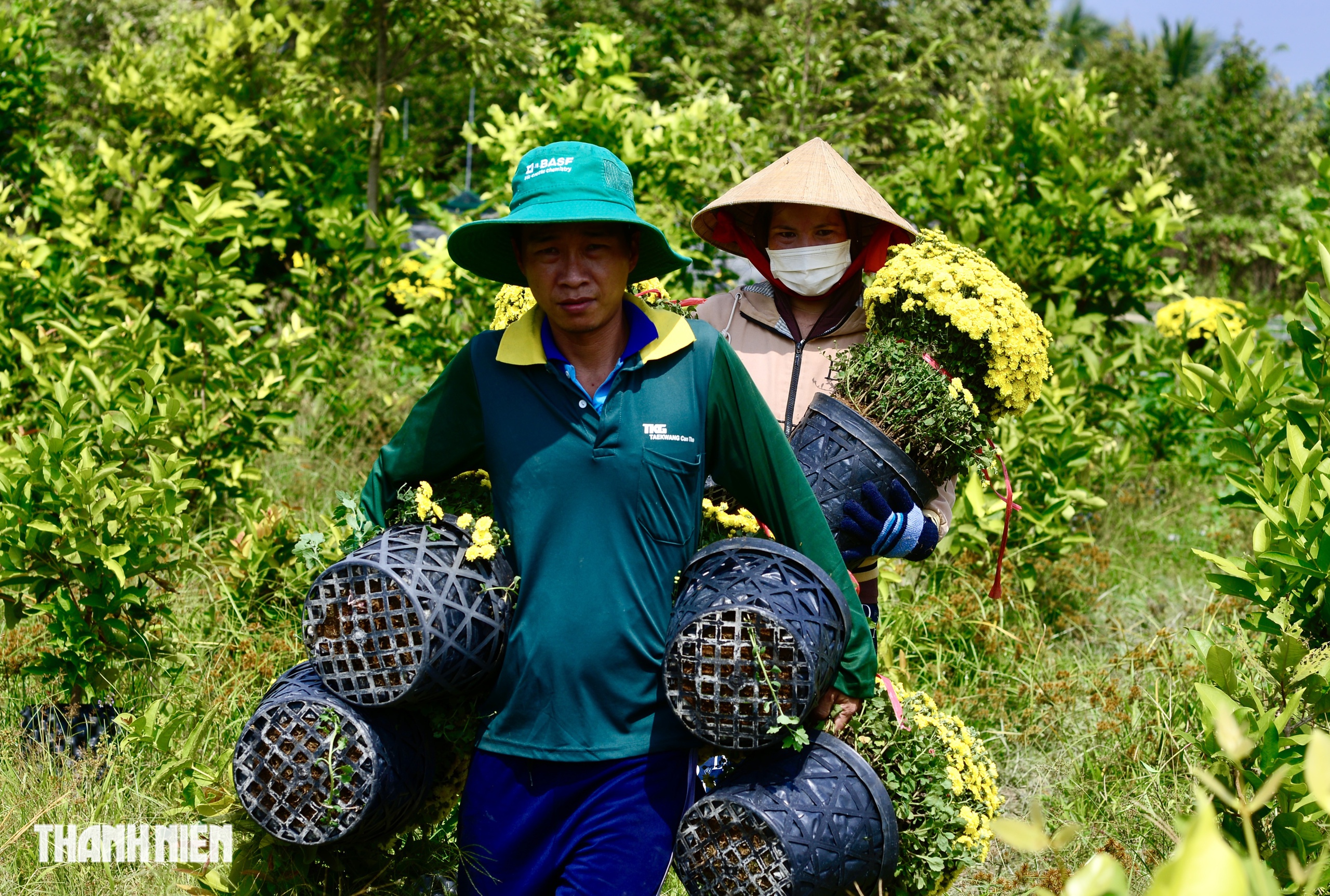 Vay ng&acirc;n h&agrave;ng trồng hoa tết thất bại: Nhưng mồ h&ocirc;i, nước mắt rồi sẽ kh&ocirc;! - Ảnh 4.