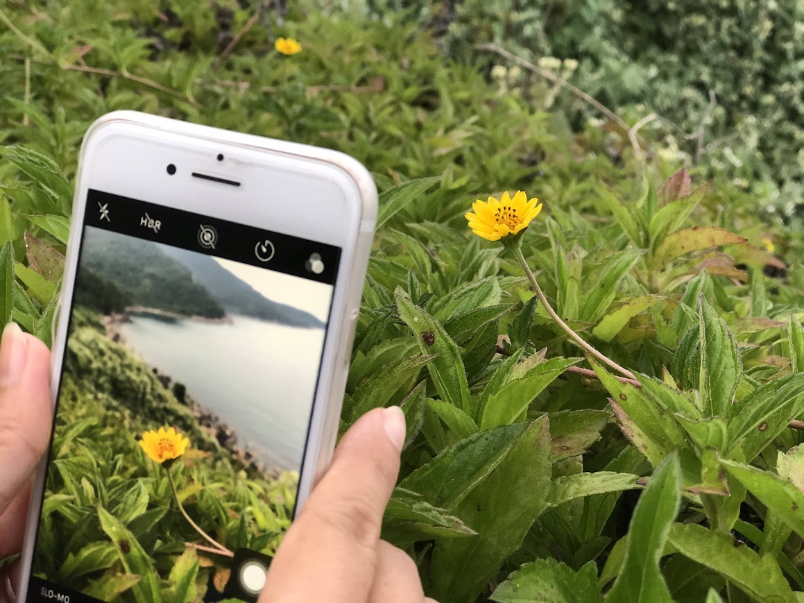 Máy ảnh kỹ thuật số giá rẻ 'không còn đất sống' - Ảnh 1.