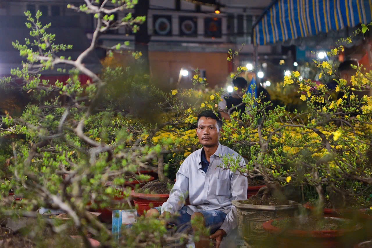 28 Tết: Anh Tuấn Ôm 110 chậu mai vàng chờ khách giữa phố thị TP . HCM - Ảnh 1. 28 Tết: Anh Tuấn Ôm 110 chậu mai vàng chờ khách giữa phố thị TP . HCM - Ảnh 1.