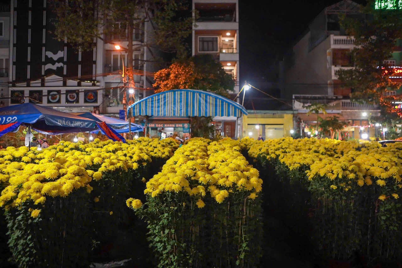 Gia đình 5 người sống 'dã chiến', đánh cược vào 10 ngày bán hoa tết - Ảnh 2.