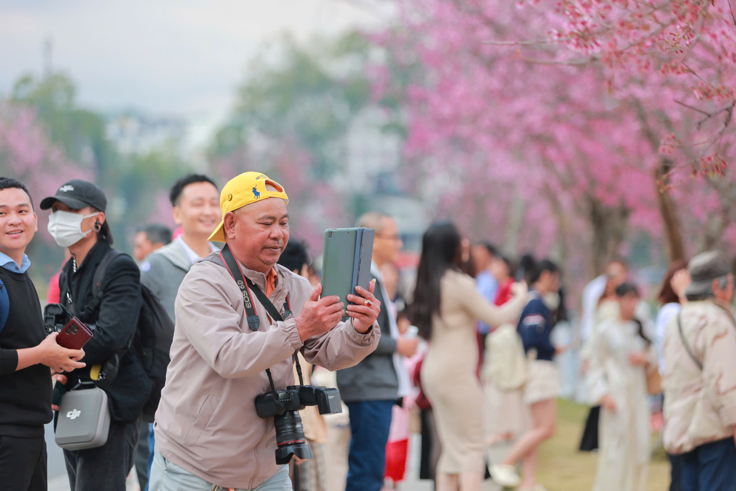 Thợ ảnh dạo Đ&agrave; Lạt: Bỏ in h&igrave;nh, chuyển sang 'bắn' file, thu tiền triệu mỗi ng&agrave;y- Ảnh 7.