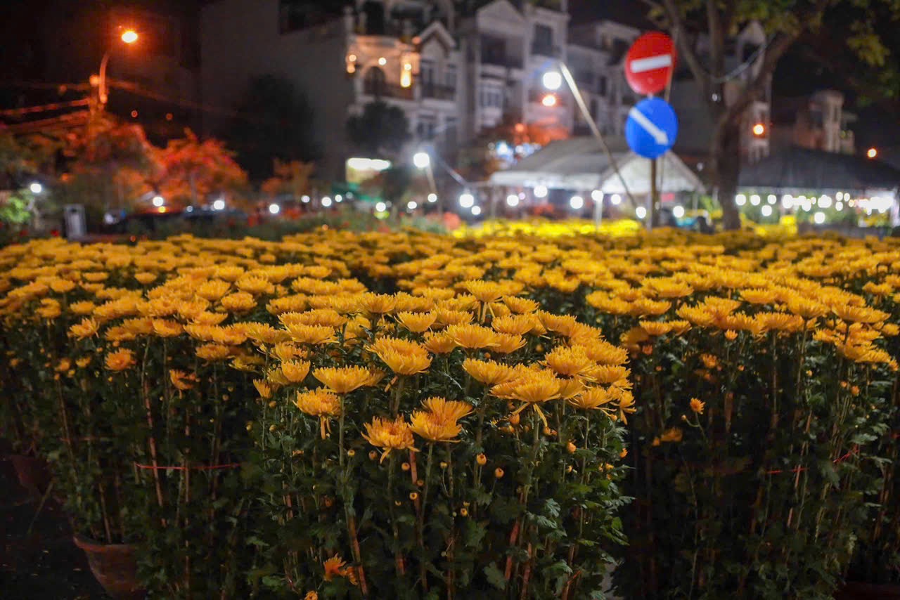 Gia đình 5 người sống 'dã chiến', đánh cược vào 10 ngày bán hoa tết - Ảnh 3.