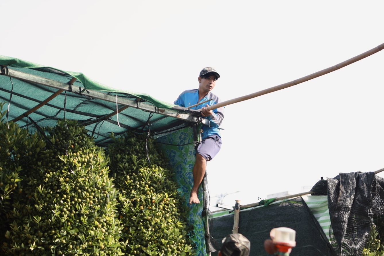 TP.HCM nhìn từ sông Sài Gòn - Kỳ 2: Bến Bình Đông 'giữ nhịp' xuân - Ảnh 3. TP.HCM nhìn từ sông Sài Gòn - Kỳ 2: Bến Bình Đông 'giữ nhịp' xuân - Ảnh 3.