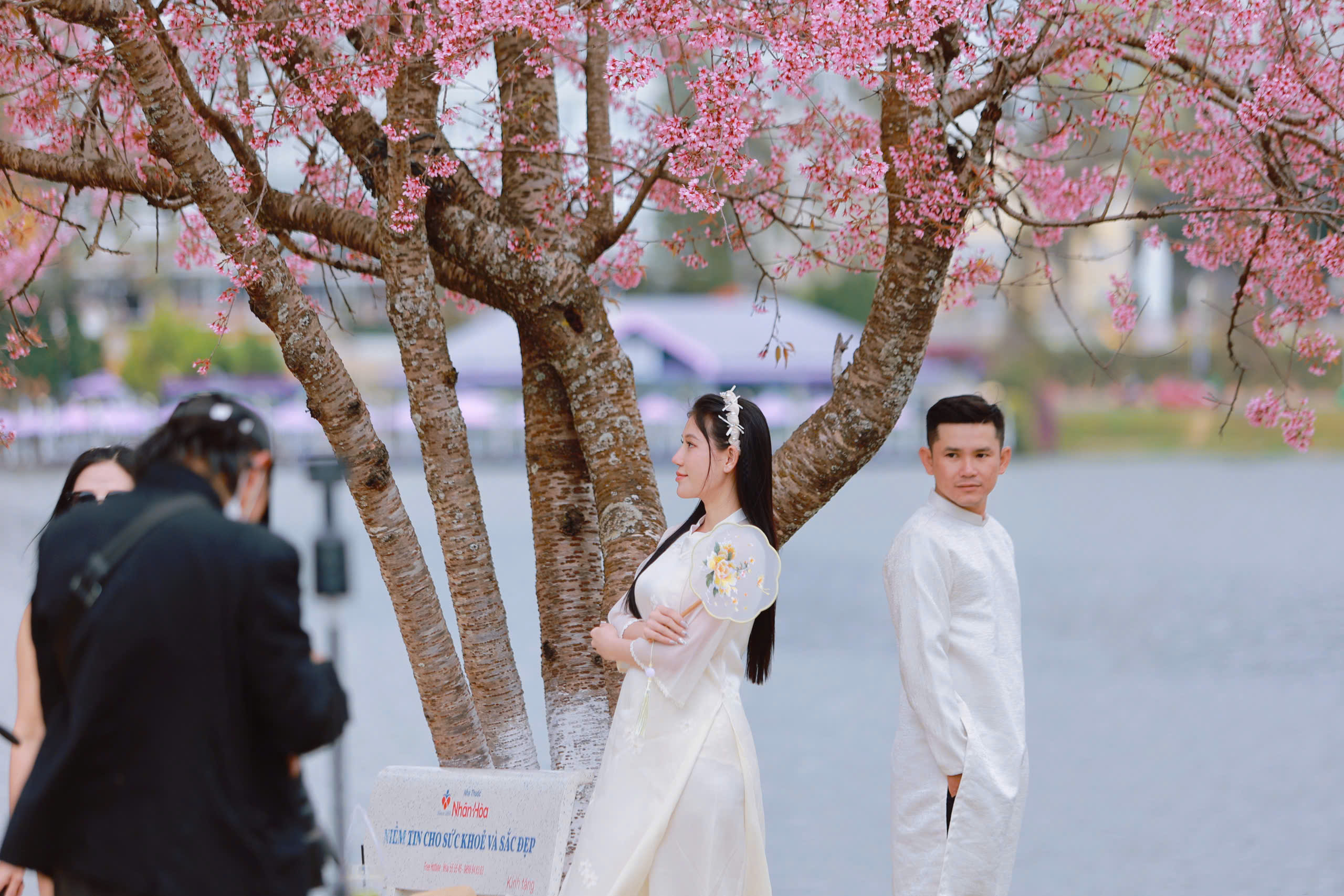 Thợ ảnh dạo Đ&agrave; Lạt: Bỏ in h&igrave;nh, chuyển sang 'bắn' file, thu tiền triệu mỗi ng&agrave;y- Ảnh 3.