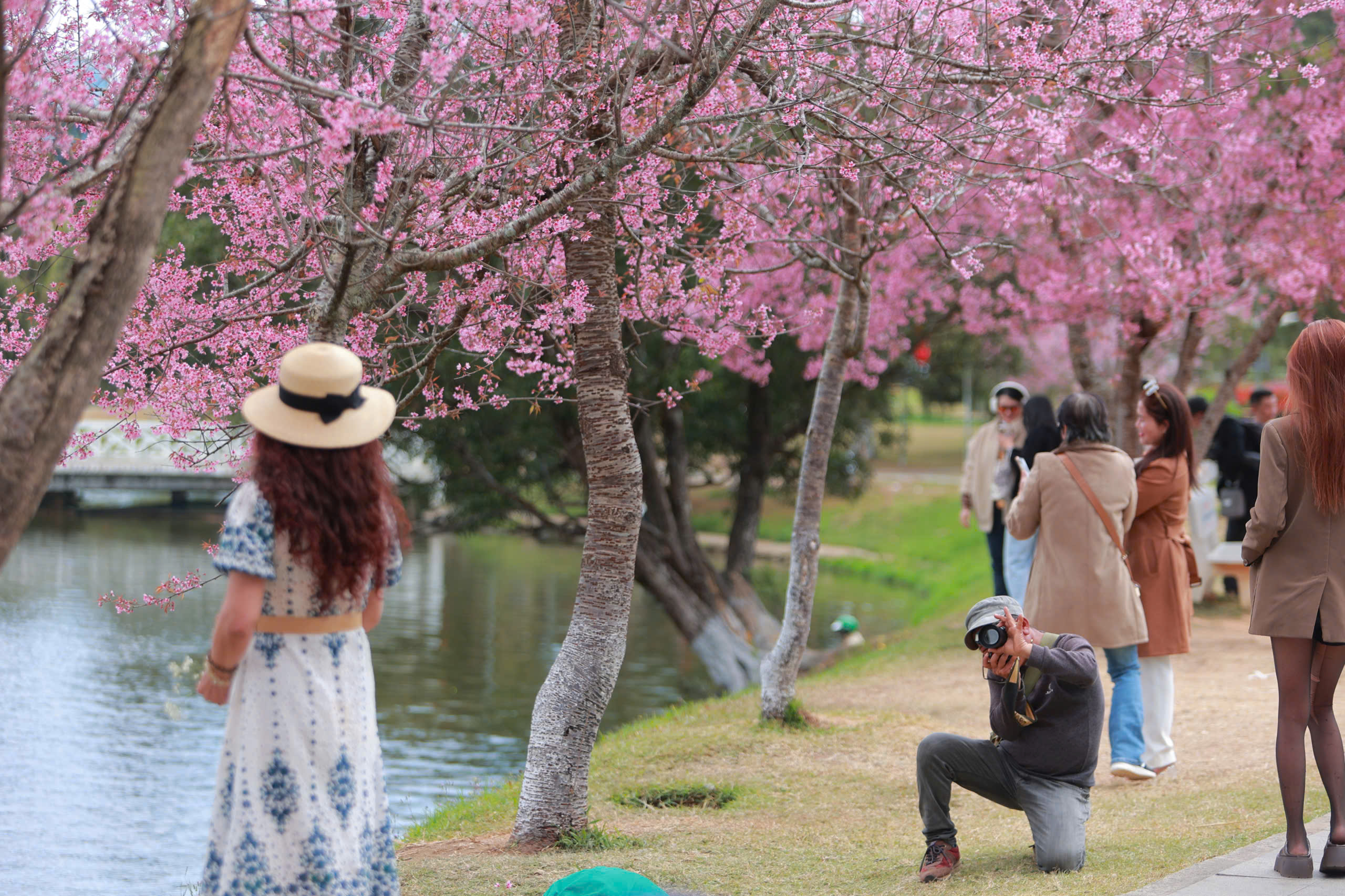 Thợ ảnh dạo Đ&agrave; Lạt: Bỏ in h&igrave;nh, chuyển sang 'bắn' file, thu tiền triệu mỗi ng&agrave;y- Ảnh 1.