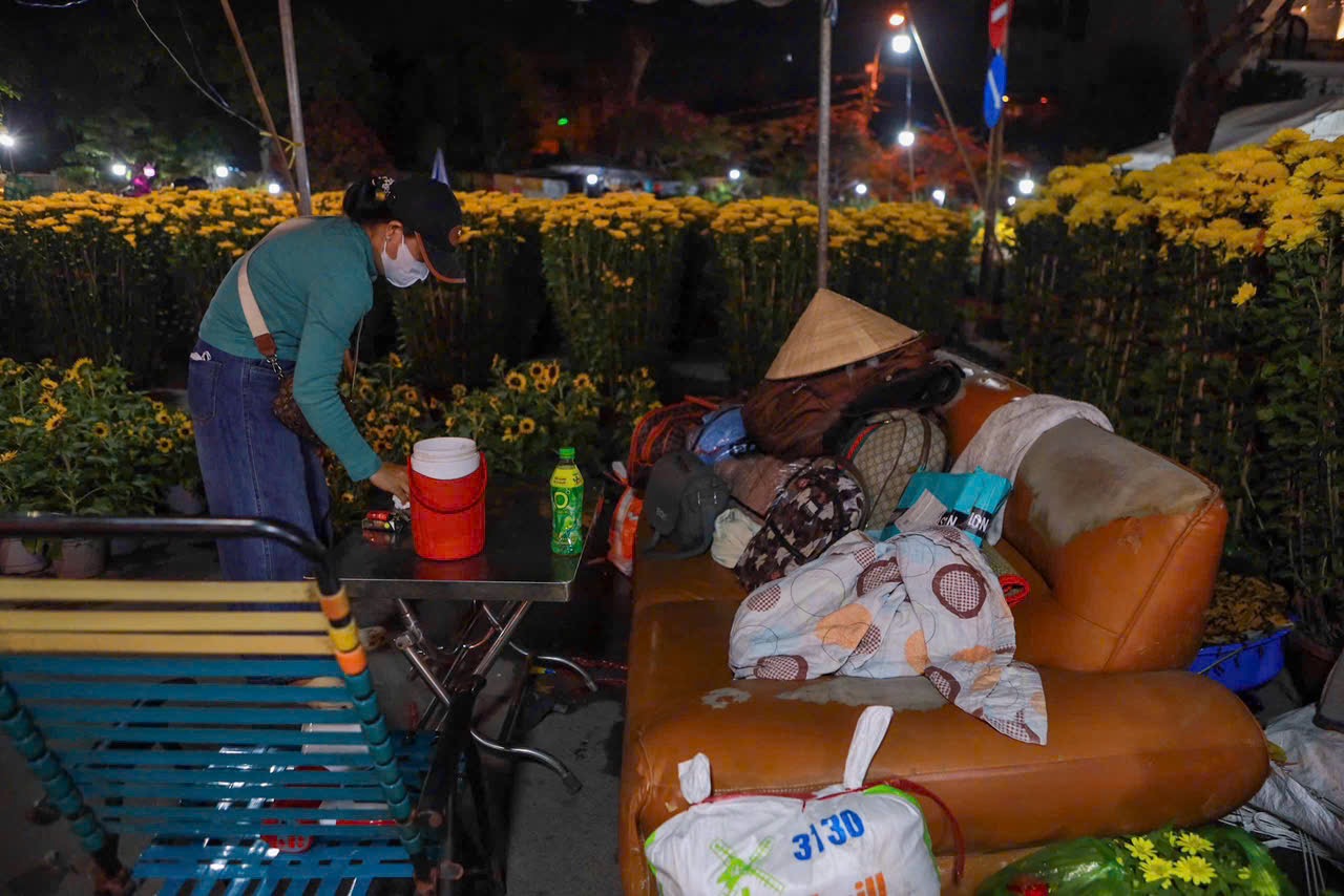 28 Tết: Anh Tuấn Ôm 110 chậu mai vàng chờ khách giữa phố thị TP . HCM - Ảnh 6. 28 Tết: Anh Tuấn Ôm 110 chậu mai vàng chờ khách giữa phố thị TP . HCM - Ảnh 6.