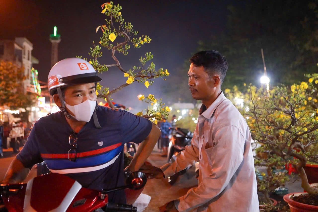 28 Tết: Anh Tuấn Ôm 110 chậu mai vàng chờ khách giữa phố thị TP . HCM - Ảnh 5. 28 Tết: Anh Tuấn Ôm 110 chậu mai vàng chờ khách giữa phố thị TP . HCM - Ảnh 5.