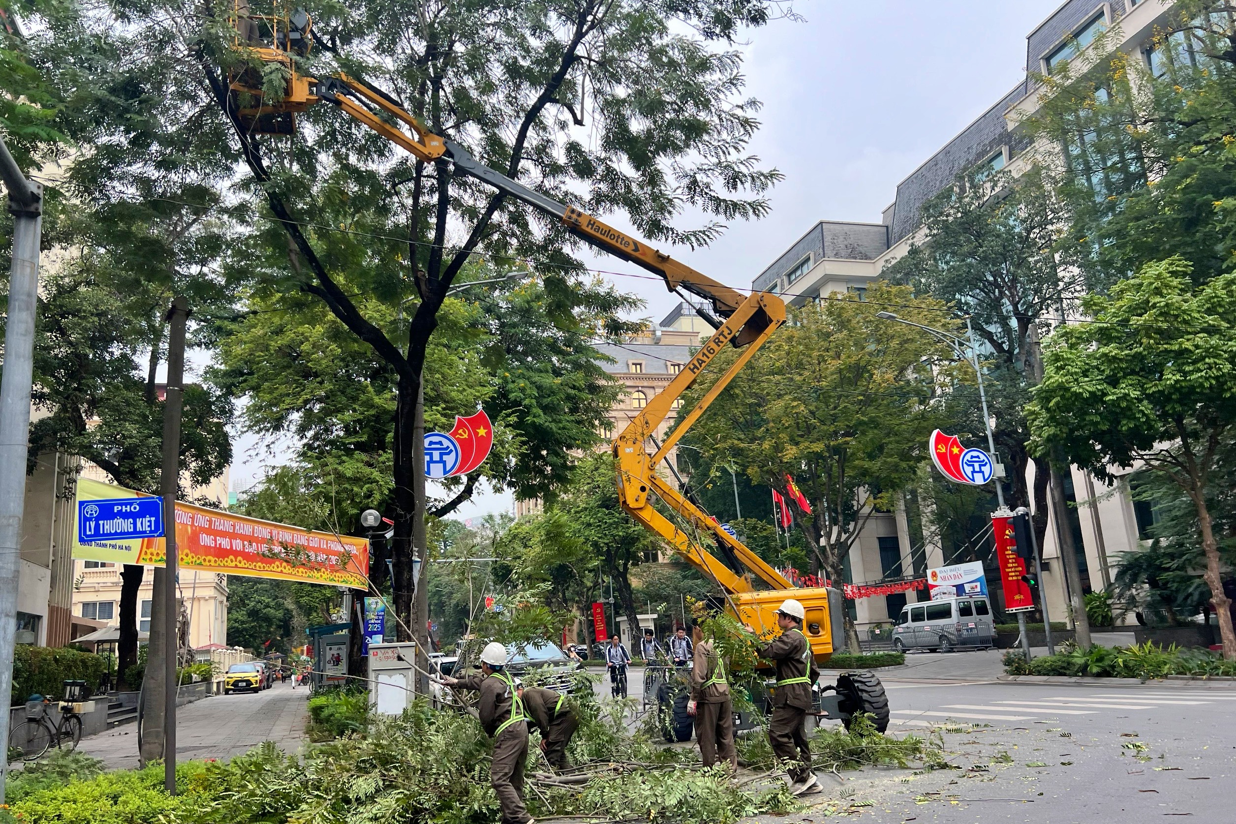 Đề xuất di dời và chặt hạ cây xanh tại Hà Nội giai đoạn 2026 - 2030 - Ảnh 2.