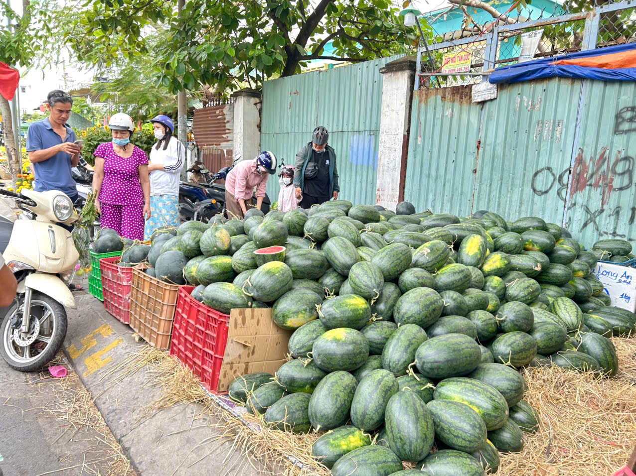 28 tết, dưa hấu chưng bàn thờ tăng giá gấp đôi, gấp ba- Ảnh 7. 28 tết, dưa hấu chưng bàn thờ tăng giá gấp đôi, gấp ba- Ảnh 7.