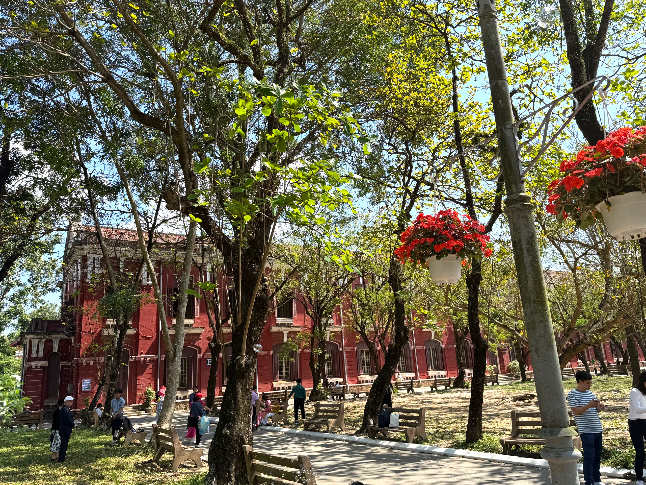 Tết 2026 tại Trường Quốc học Huế: Điểm đến check in cho các thế hệ học sinh - Ảnh 5. Tết 2026 tại Trường Quốc học Huế: Điểm đến check in cho các thế hệ học sinh - Ảnh 5.