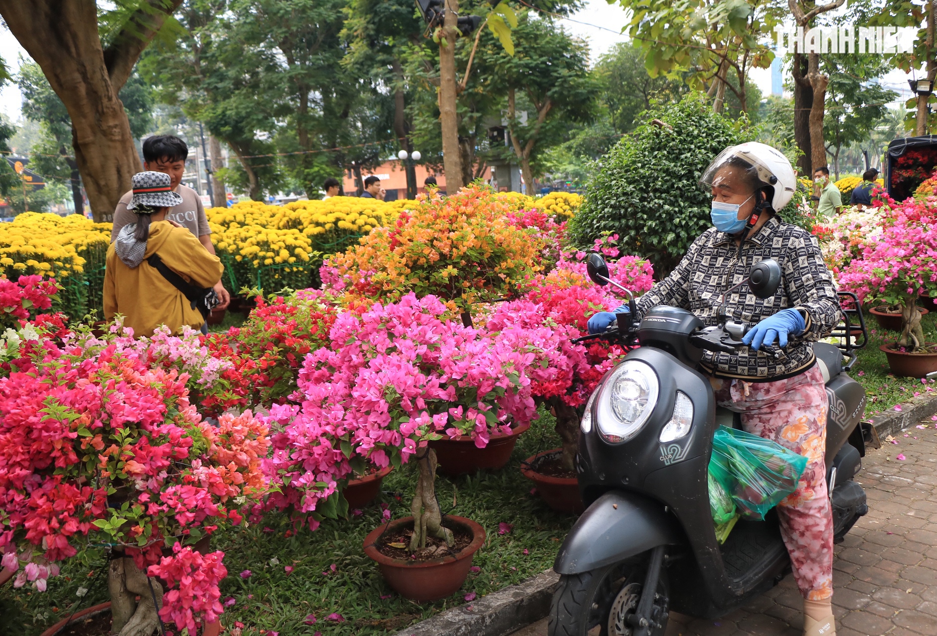 Nỗi niềm ở chợ hoa tết trung tâm TP.HCM: Ngày trước giao thừa người khóc, người cười! - Ảnh 2.