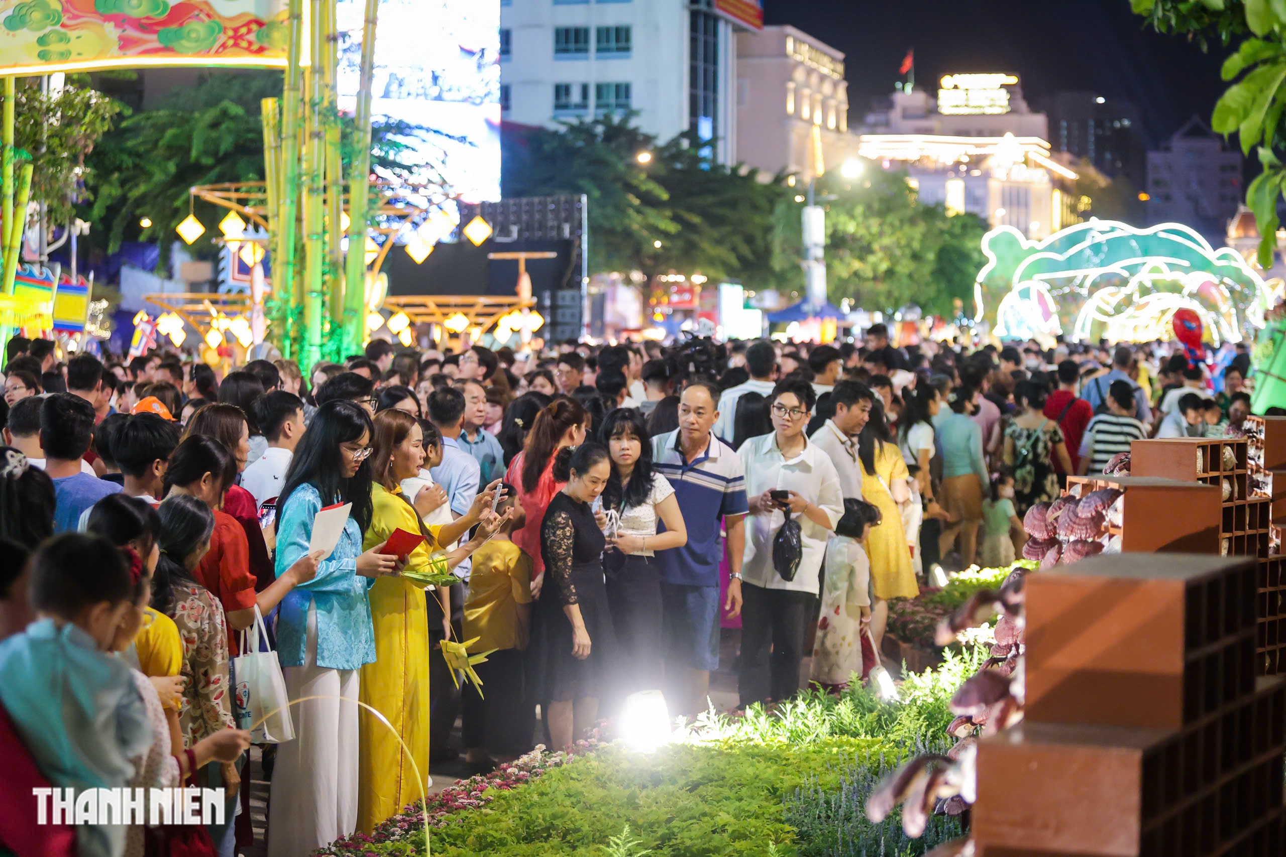 Hàng ngàn người đổ về tham quan đường hoa Nguyễn Huệ trong đêm khai mạc - Ảnh 3.