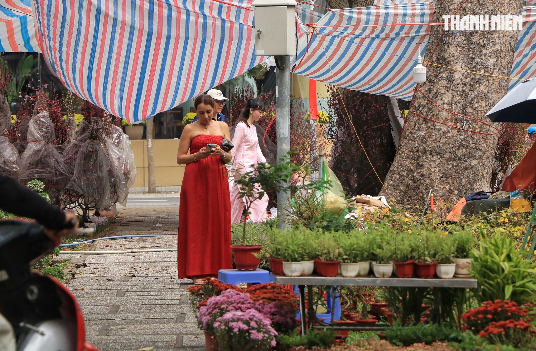 Khách Tây đi chợ hoa tết trung tâm TP.HCM, làm điều lạ khiến nhà vườn tò mò - Ảnh 11.