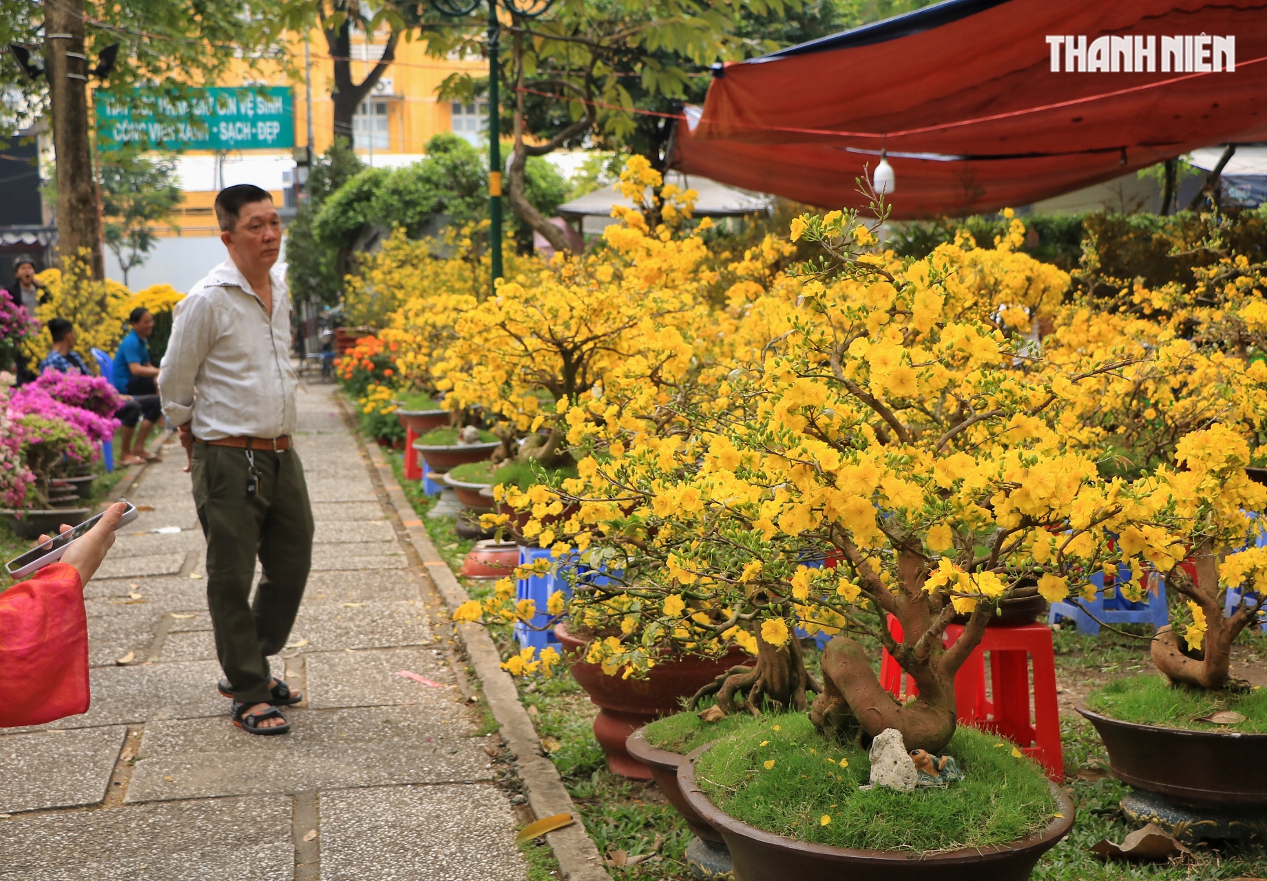 Khách Tây đi chợ hoa tết trung tâm TP.HCM, làm điều lạ khiến nhà vườn tò mò - Ảnh 6.