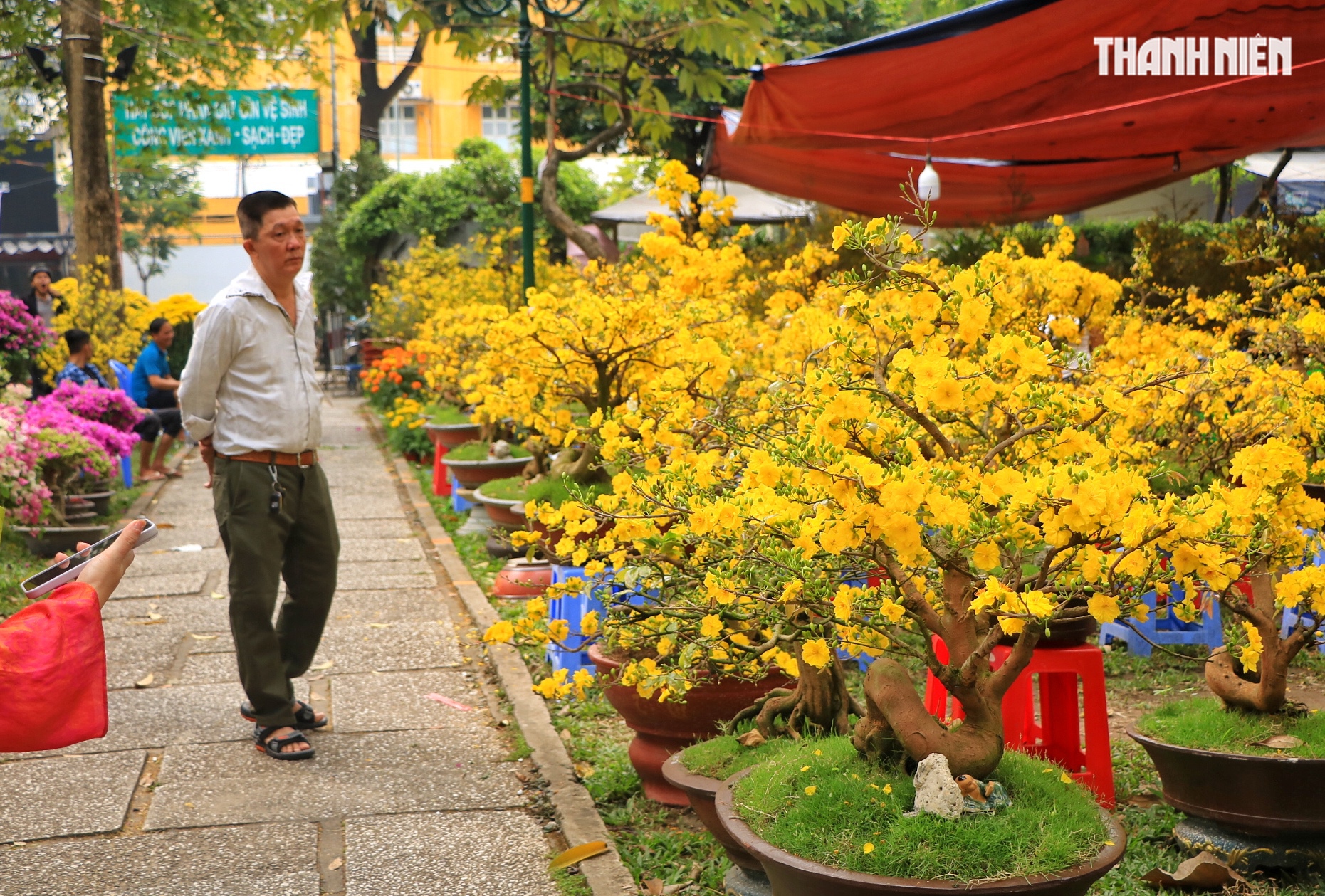 Người bán hoa tết ở TP.HCM tươi như hoa, chia sẻ bí quyết là... không nói thách! - Ảnh 1. Người bán hoa tết ở TP.HCM tươi như hoa, chia sẻ bí quyết là... không nói thách! - Ảnh 1.