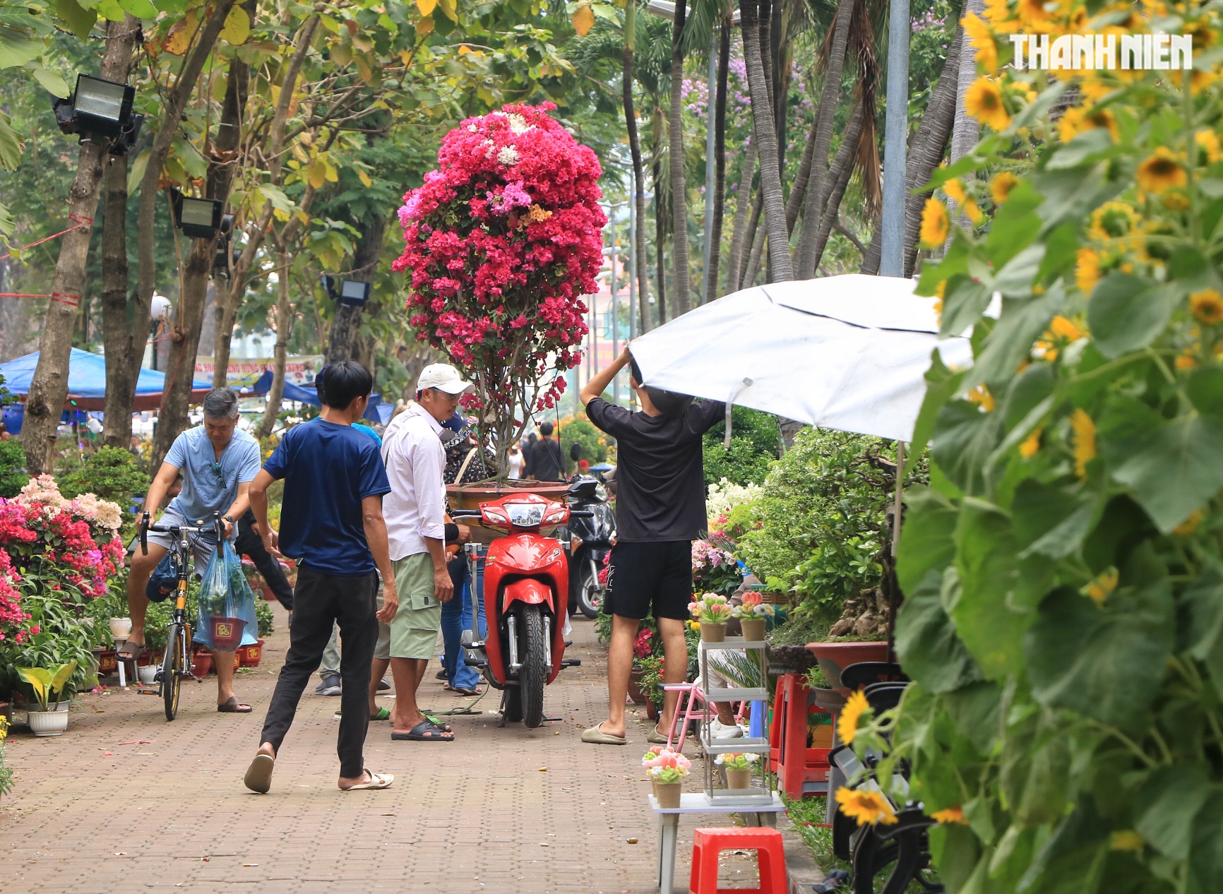 Nỗi niềm ở chợ hoa tết trung tâm TP.HCM: Ngày trước giao thừa người khóc, người cười! - Ảnh 3.