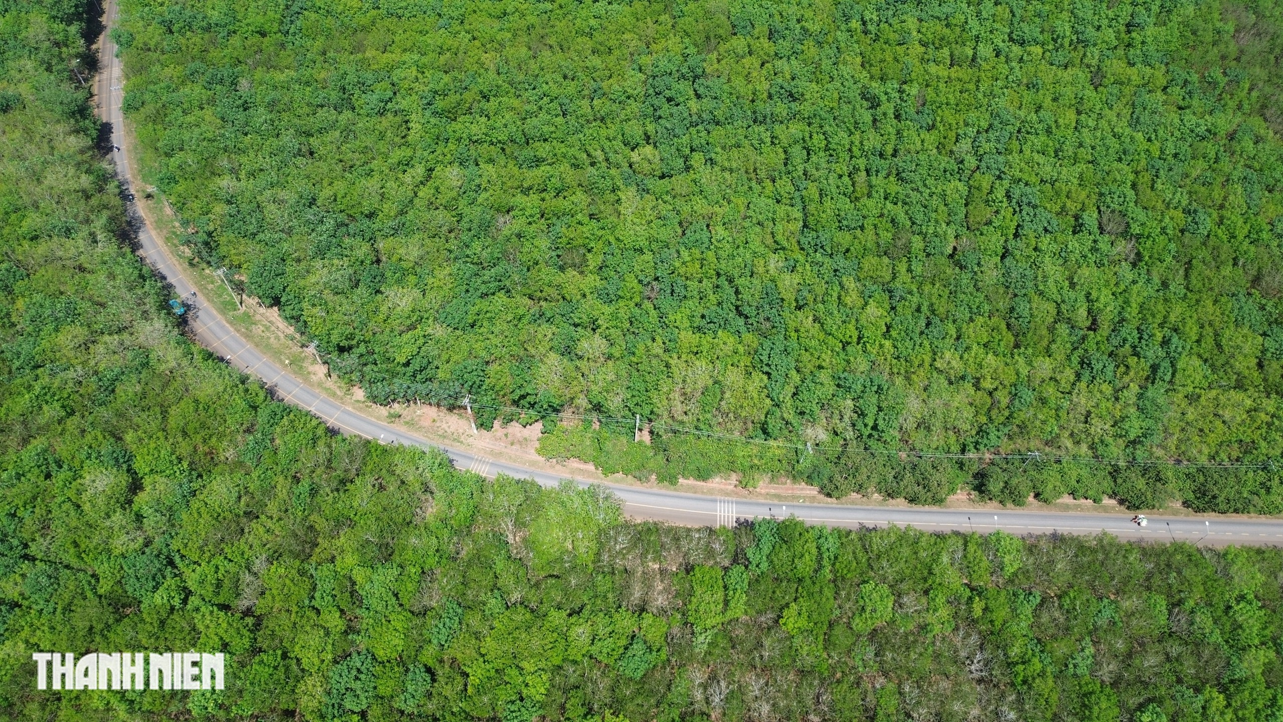 Ch&ugrave;m ảnh: Bất ngờ h&igrave;nh ảnh rừng cao su thay đổi ch&oacute;ng mặt chỉ trong một th&aacute;ng - Ảnh 14.