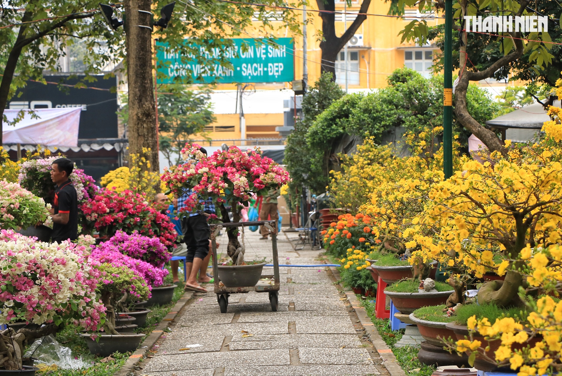 Người bán hoa tết ở TP.HCM tươi như hoa, chia sẻ bí quyết là... không nói thách! - Ảnh 3. Người bán hoa tết ở TP.HCM tươi như hoa, chia sẻ bí quyết là... không nói thách! - Ảnh 3.