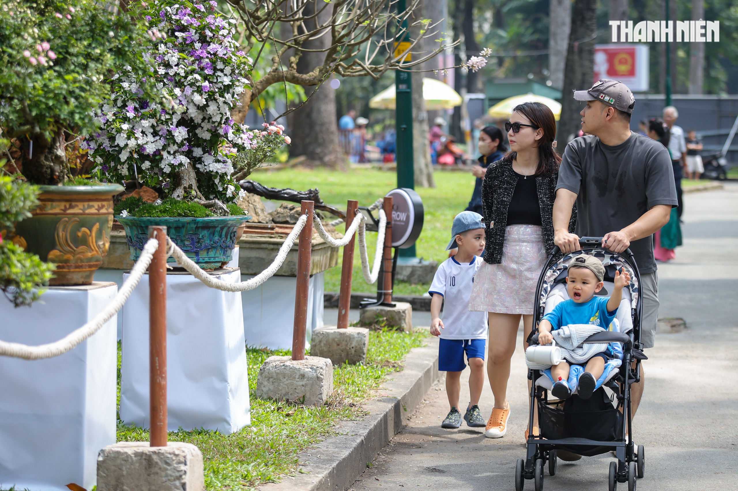 Bạn trẻ đổ về Hội hoa xuân Tao Đàn thưởng lãm sắc xuân, xem ngựa thật - Ảnh 17.