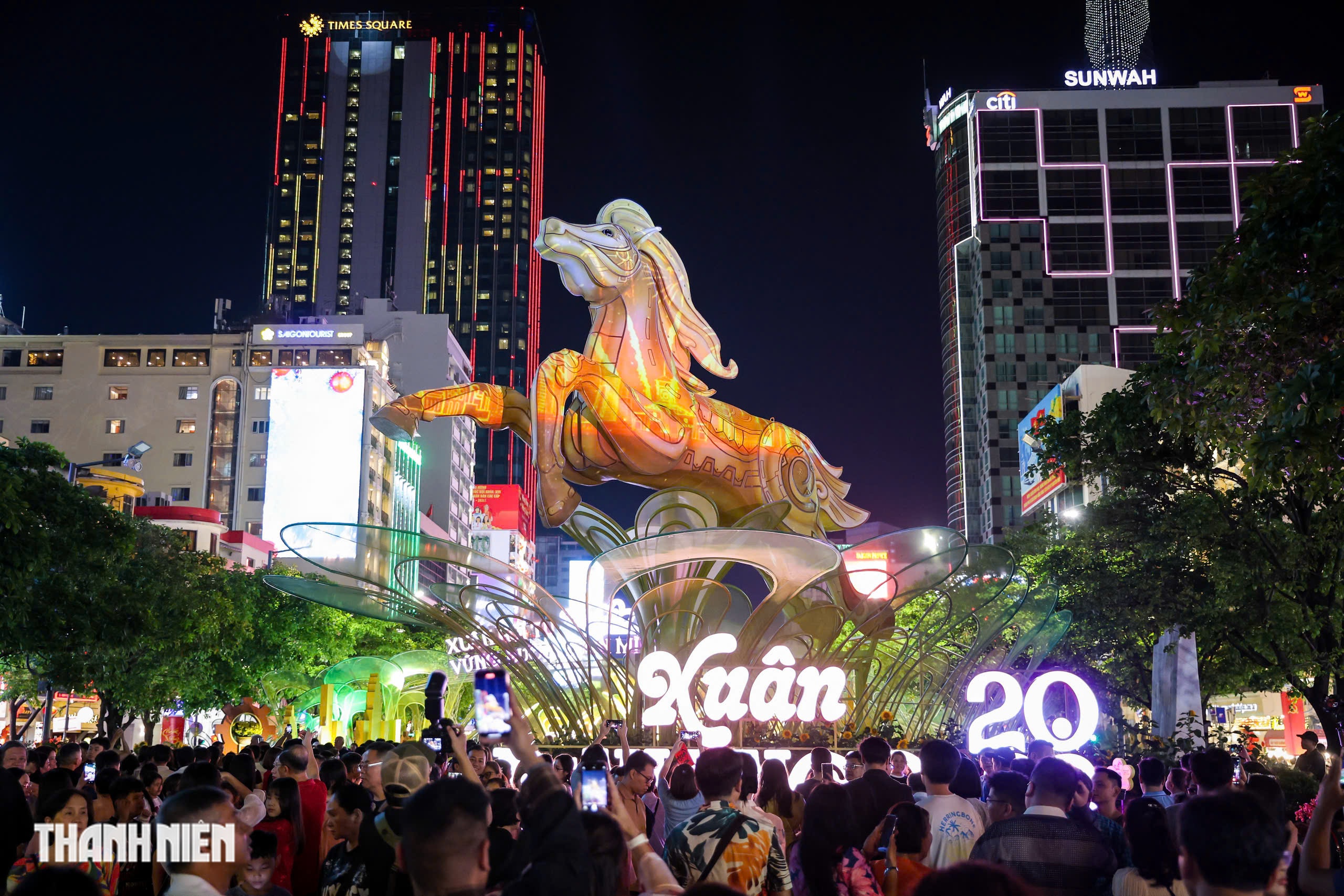 Hàng ngàn người đổ về tham quan đường hoa Nguyễn Huệ trong đêm khai mạc - Ảnh 1.