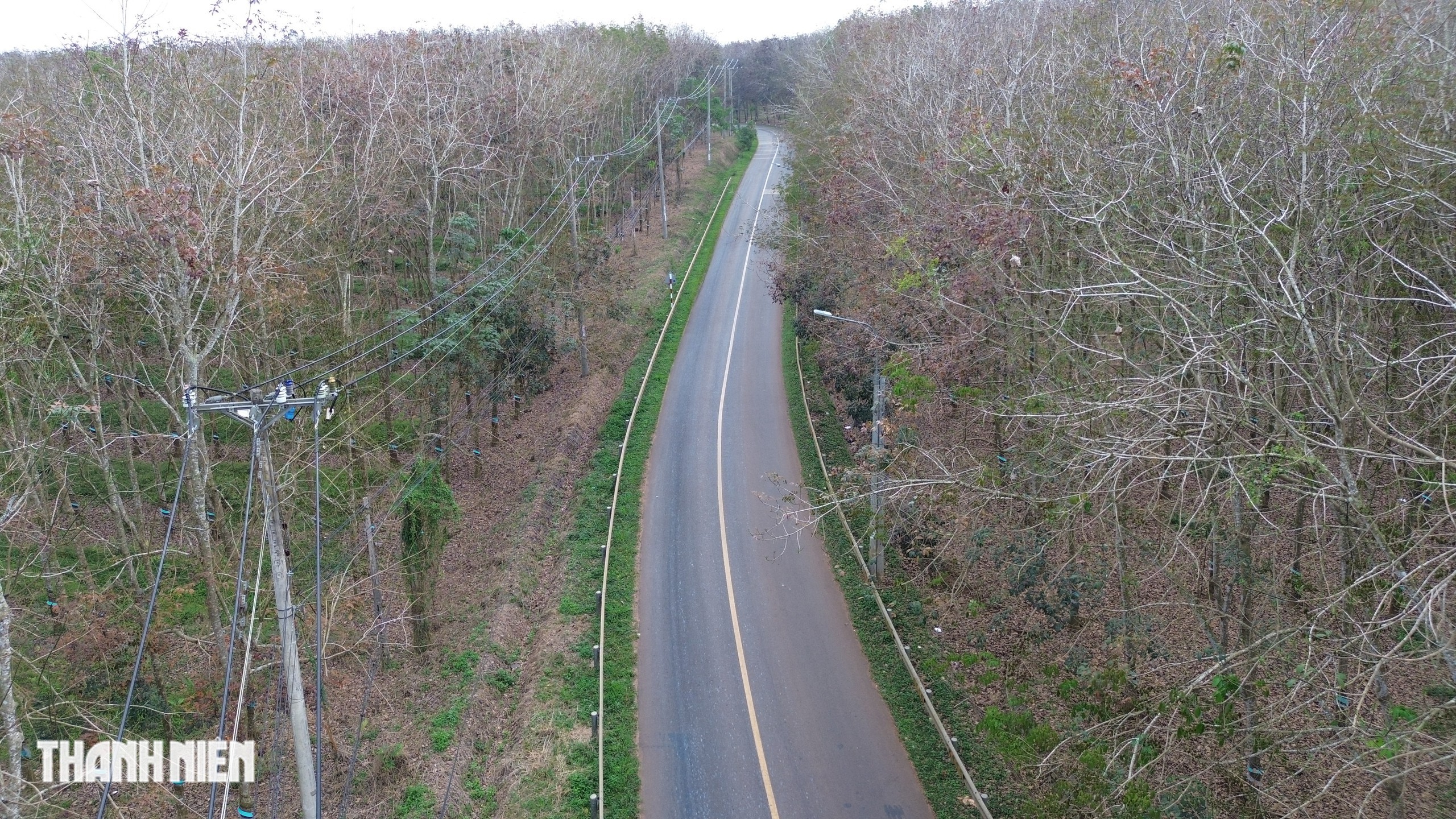 Ch&ugrave;m ảnh: Bất ngờ h&igrave;nh ảnh rừng cao su thay đổi ch&oacute;ng mặt chỉ trong một th&aacute;ng - Ảnh 3.