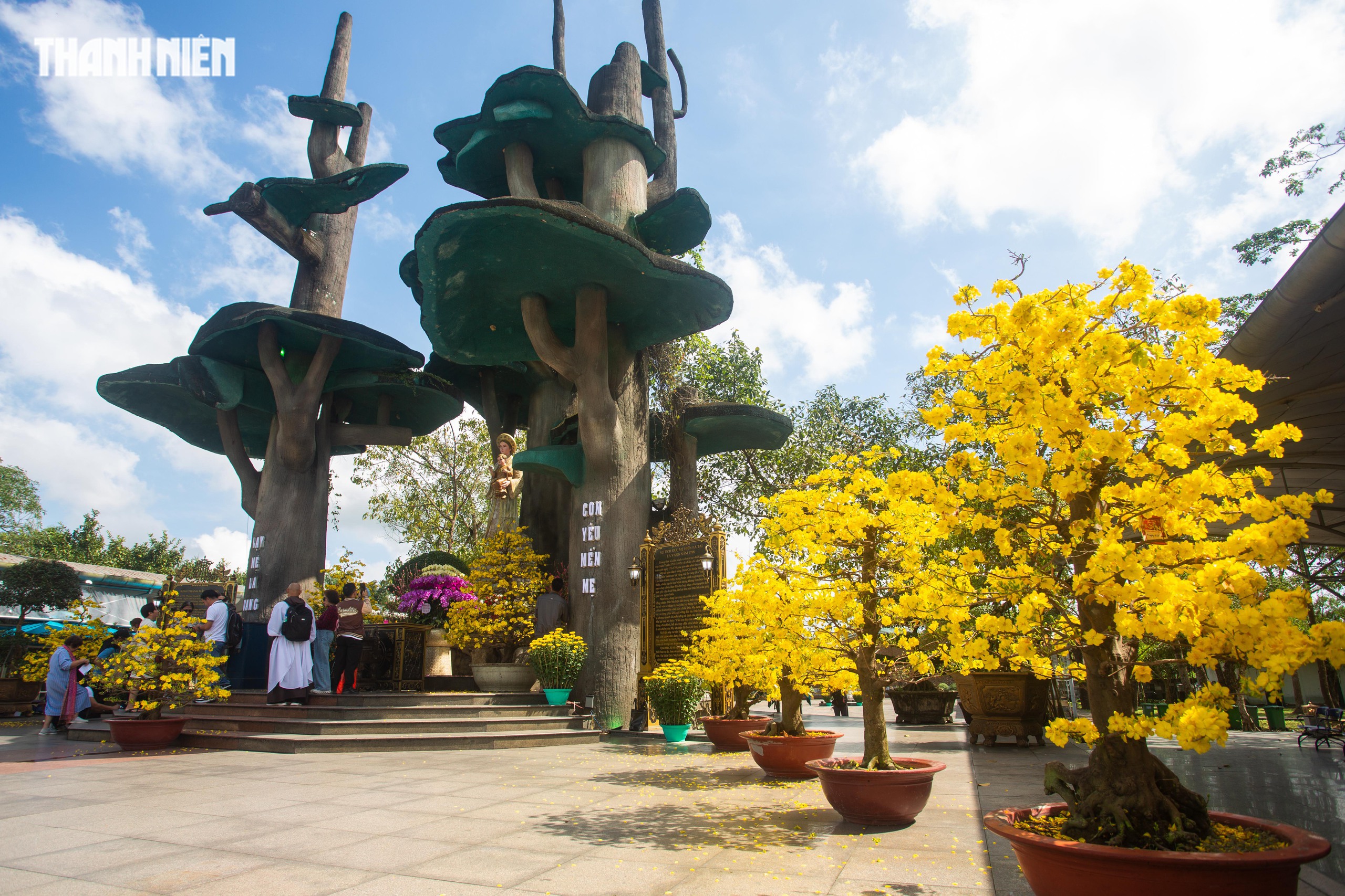 La Vang rực v&agrave;ng hoa xu&acirc;n đ&oacute;n d&ograve;ng người khắp nơi về cầu b&igrave;nh an năm mới- Ảnh 3.