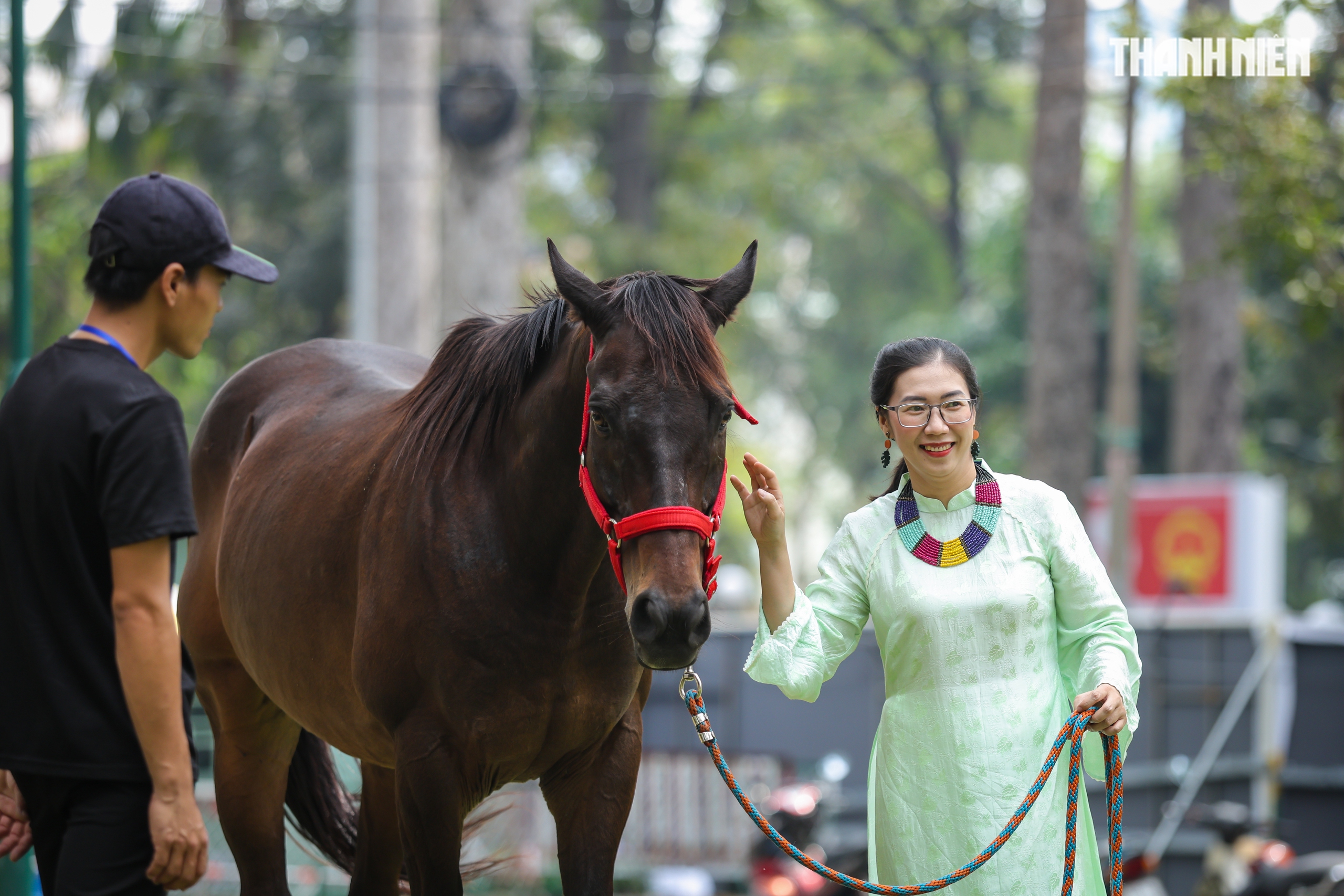 Bạn trẻ đổ về Hội hoa xuân Tao Đàn thưởng lãm sắc xuân, xem ngựa thật - Ảnh 8.