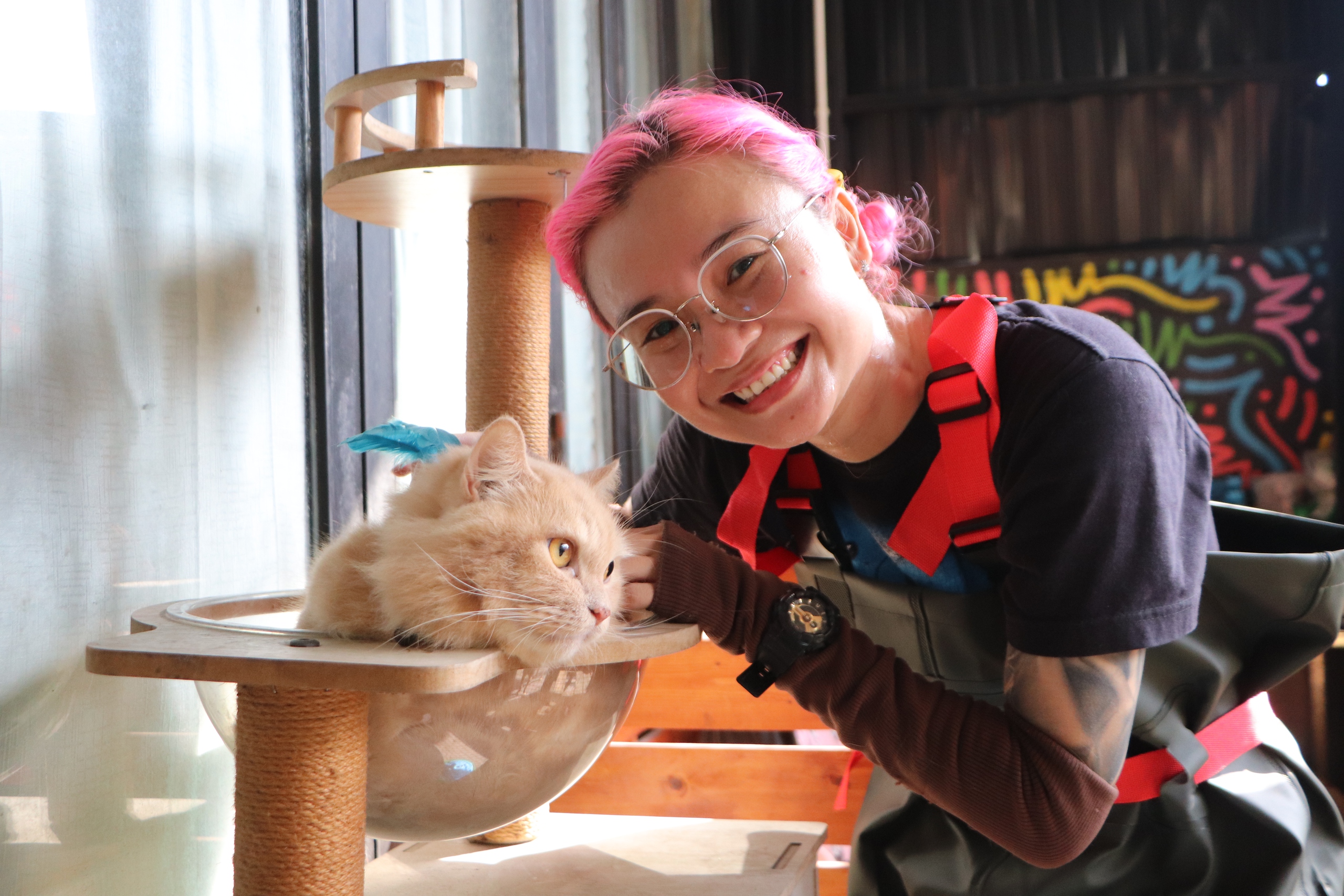 Mở th&ecirc;m khu vẫn k&iacute;n chỗ: Kh&aacute;ch sạn th&uacute; cưng vẫn &ldquo;ch&aacute;y ph&ograve;ng&rdquo; dịp tết 2026  - Ảnh 4.