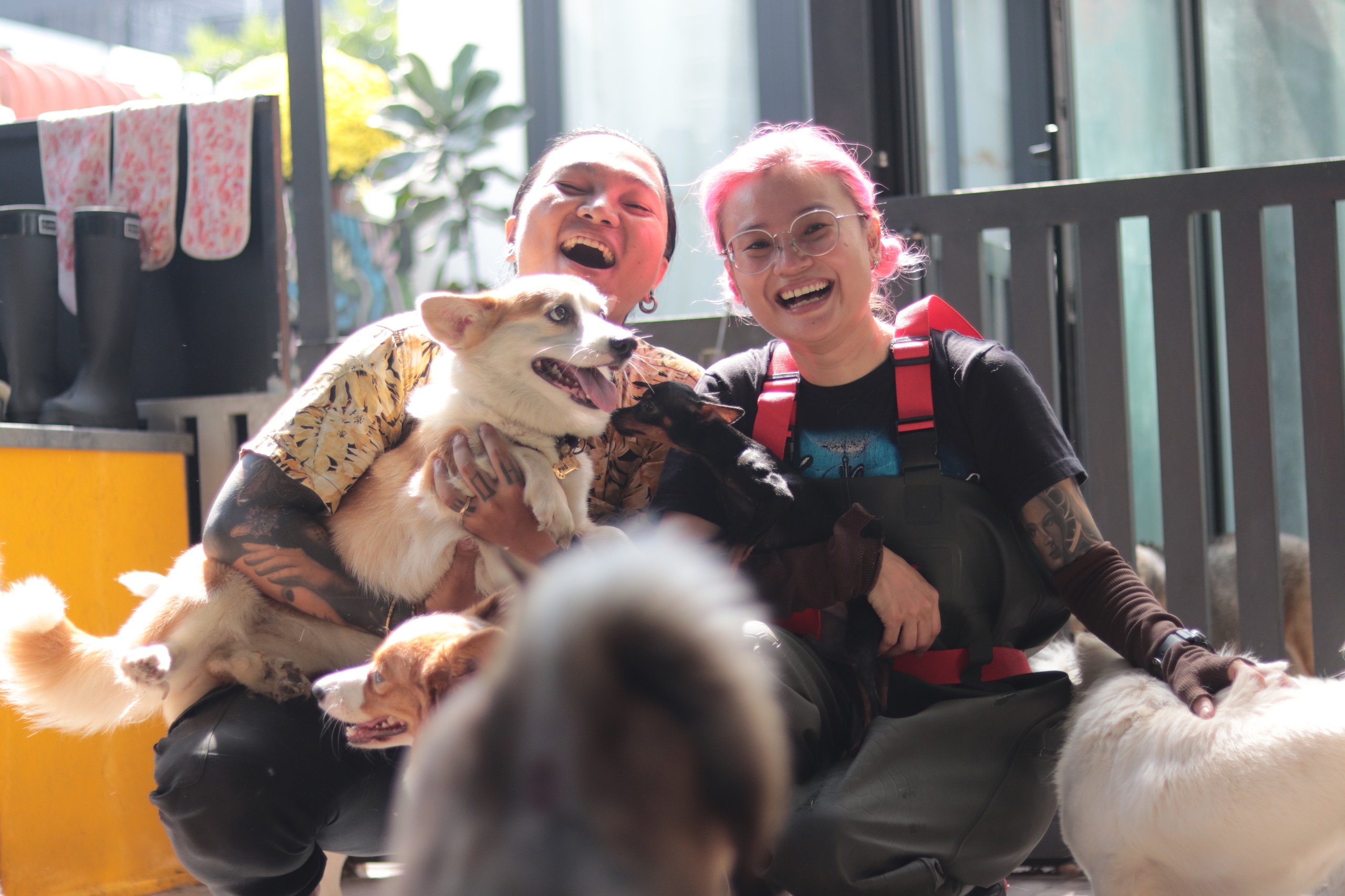 Mở th&ecirc;m khu vẫn k&iacute;n chỗ: Kh&aacute;ch sạn th&uacute; cưng vẫn &ldquo;ch&aacute;y ph&ograve;ng&rdquo; dịp tết 2026  - Ảnh 3.