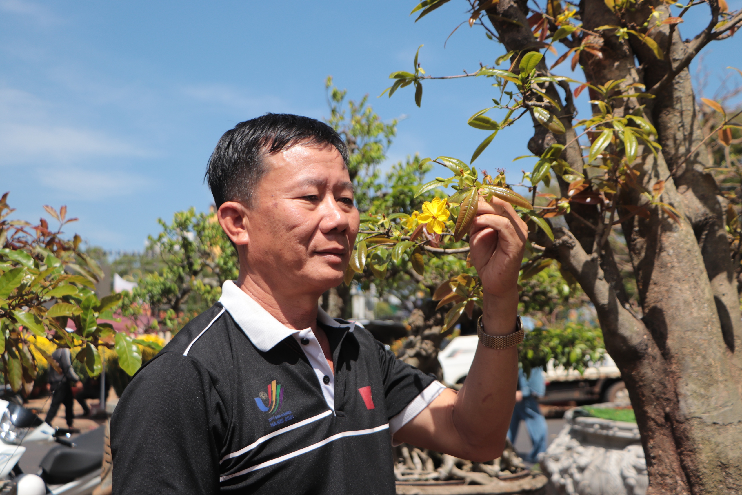 C&acirc;y mai v&agrave;ng độc lạ 9 c&aacute;nh của nghệ nh&acirc;n Đắk Lắk gi&aacute; trị gần Tết 2026 - Ảnh 1.