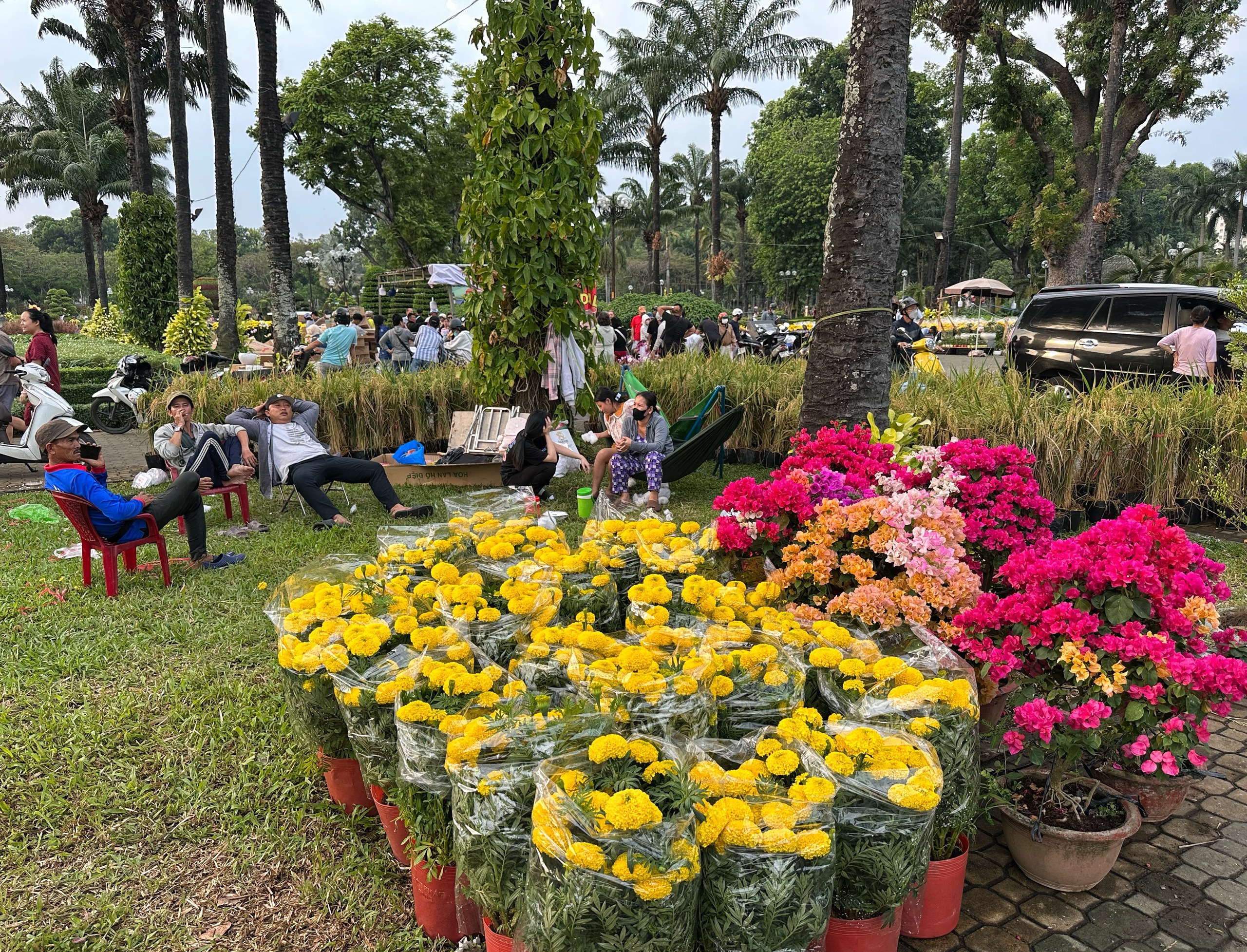 Người d&acirc;n TP.HCM đi chợ hoa tết cười tươi phơi phới: 'Khỏi phải trả gi&aacute;, kỳ k&egrave;o&hellip;' - Ảnh 4.