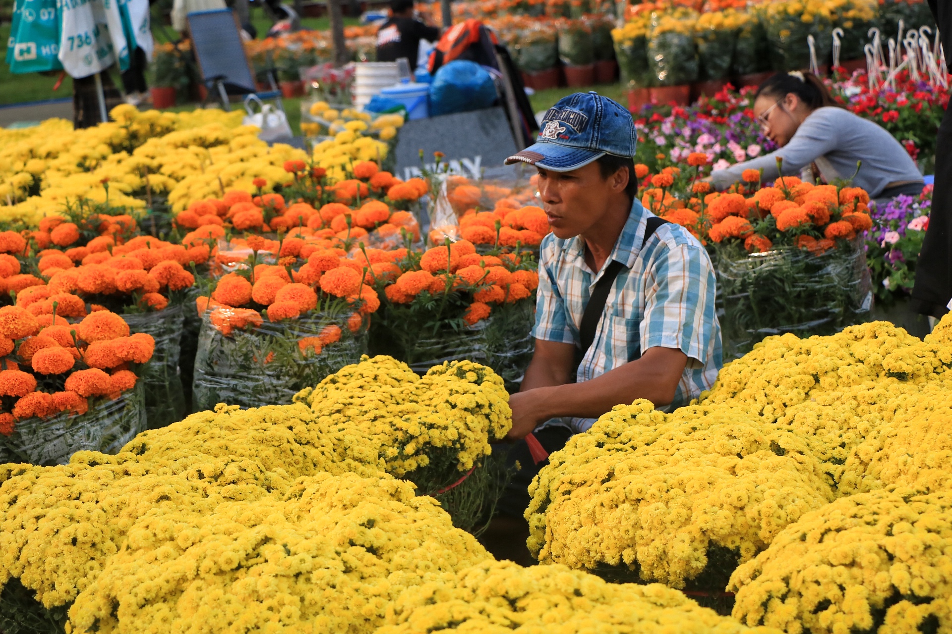 Người d&acirc;n TP.HCM đi chợ hoa tết cười tươi phơi phới: 'Khỏi phải trả gi&aacute;, kỳ k&egrave;o&hellip;' - Ảnh 3.