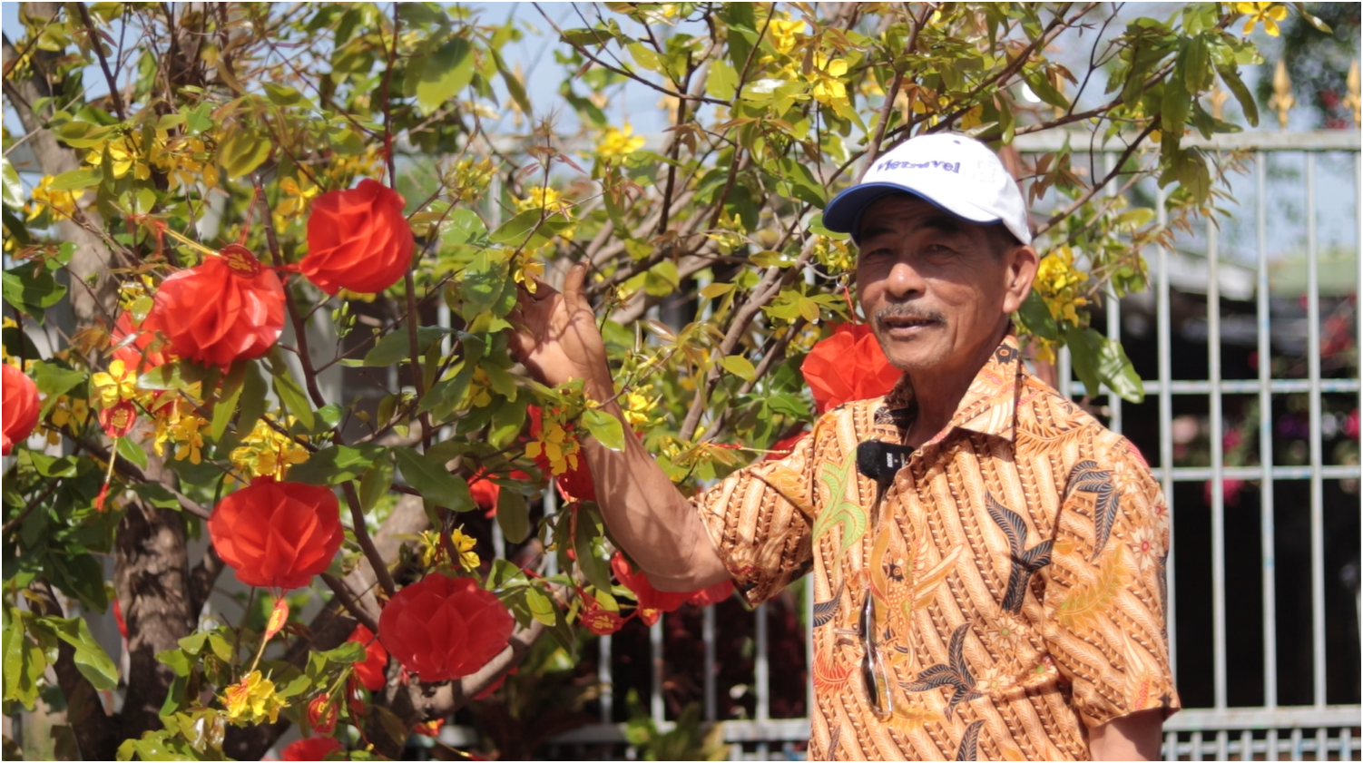 Mai d&aacute;ng rồng gi&aacute; 700 triệu tại Đắk Lắk chủ nh&acirc;n chờ &ldquo; duy&ecirc;n &rdquo; đặc biệt - Ảnh 3.