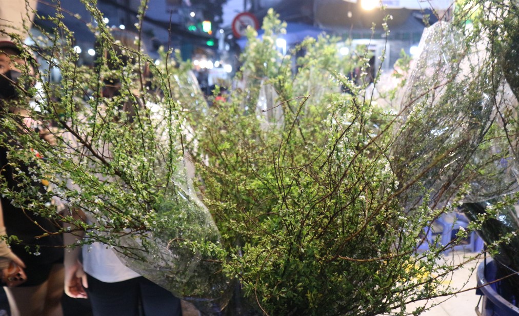 Loại hoa n&agrave;o gi&aacute; 200.000 - 250.000 đồng, b&aacute;n chạy nhất chợ Hồ Thị Kỷ tết n&agrave;y?- Ảnh 2.