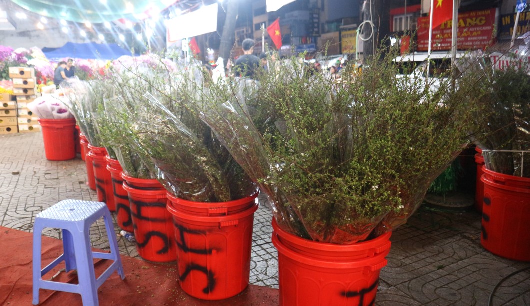 Loại hoa n&agrave;o gi&aacute; 200.000 - 250.000 đồng, b&aacute;n chạy nhất chợ Hồ Thị Kỷ tết n&agrave;y?- Ảnh 10.