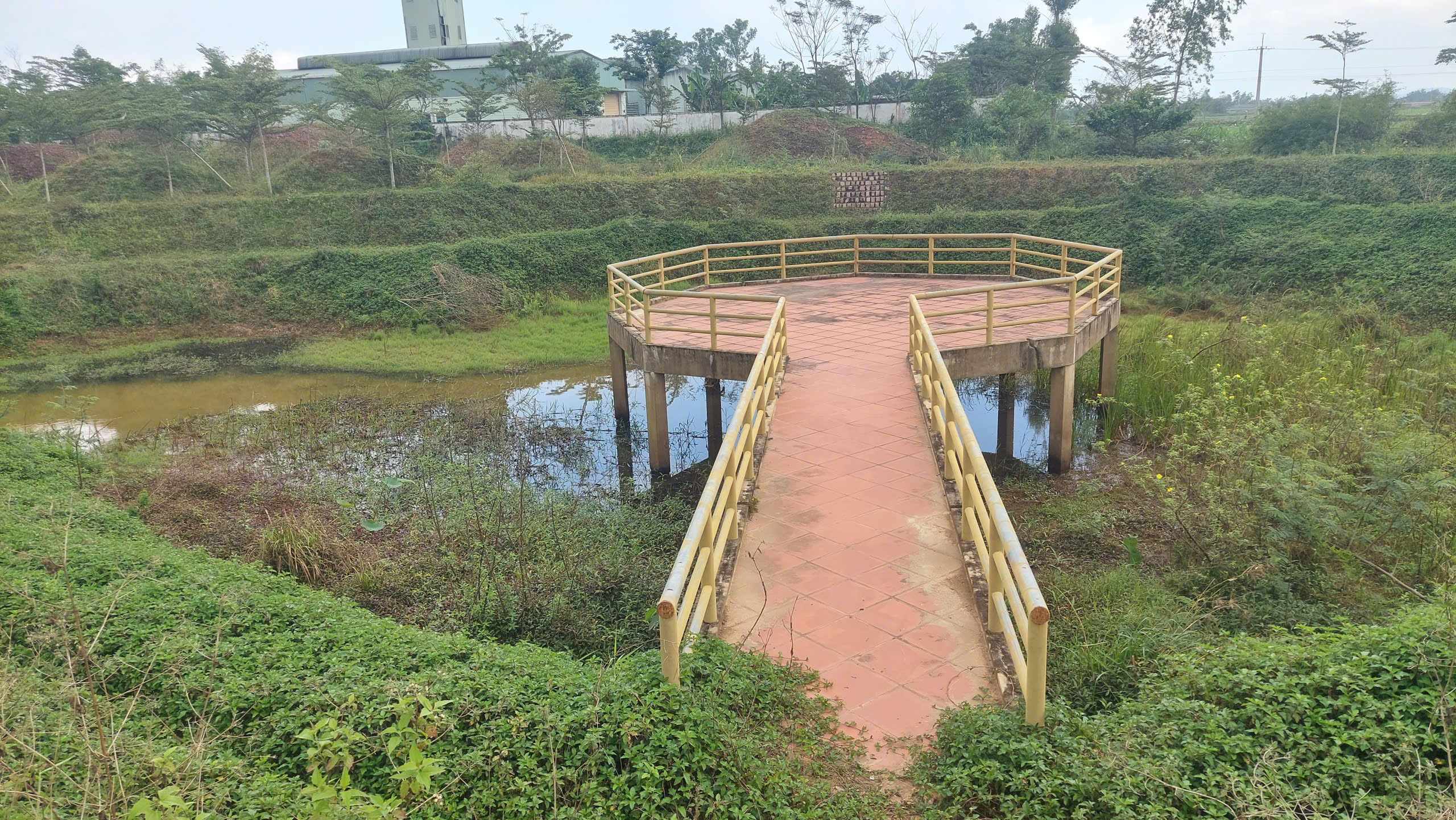 Thăm làng rượu Bàu Đá trước nỗi lo tắt lửa - Ảnh 1.