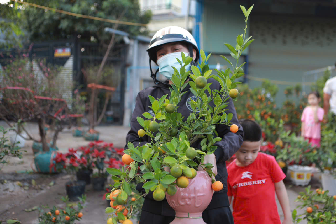 Chị Yến tặng 500 chậu hoa tết cho người khó khăn nhân dịp tết yêu thương 2026 - Ảnh 5. Chị Yến tặng 500 chậu hoa tết cho người khó khăn nhân dịp tết yêu thương 2026 - Ảnh 5.