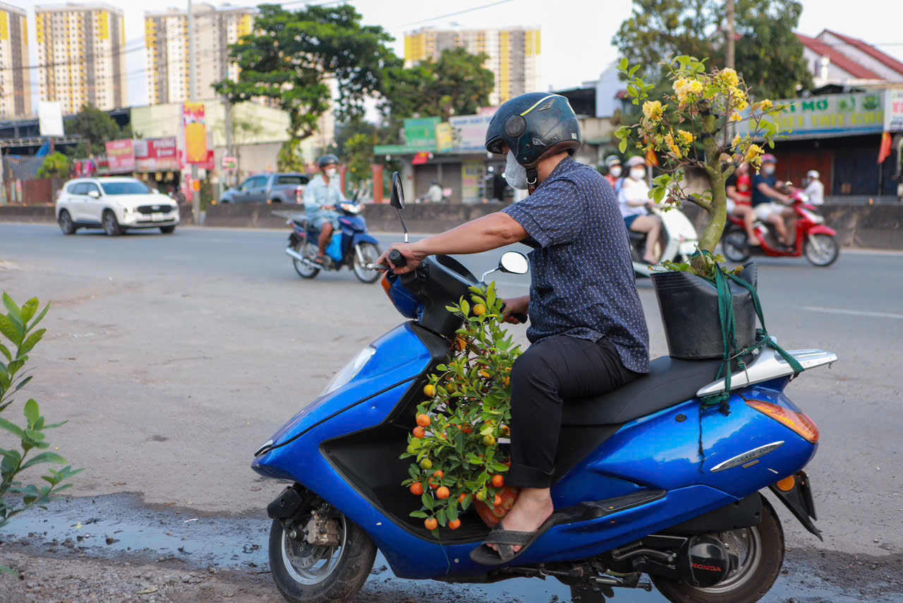 Chị Yến tặng 500 chậu hoa tết cho người khó khăn nhân dịp tết yêu thương 2026 - Ảnh 8. Chị Yến tặng 500 chậu hoa tết cho người khó khăn nhân dịp tết yêu thương 2026 - Ảnh 8.