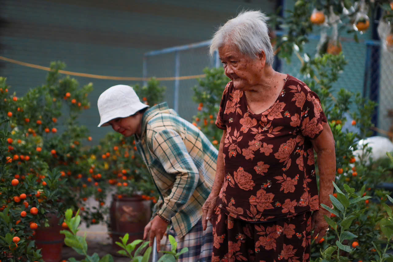 Chị Yến tặng 500 chậu hoa tết cho người khó khăn nhân dịp tết yêu thương 2026 - Ảnh 7. Chị Yến tặng 500 chậu hoa tết cho người khó khăn nhân dịp tết yêu thương 2026 - Ảnh 7.