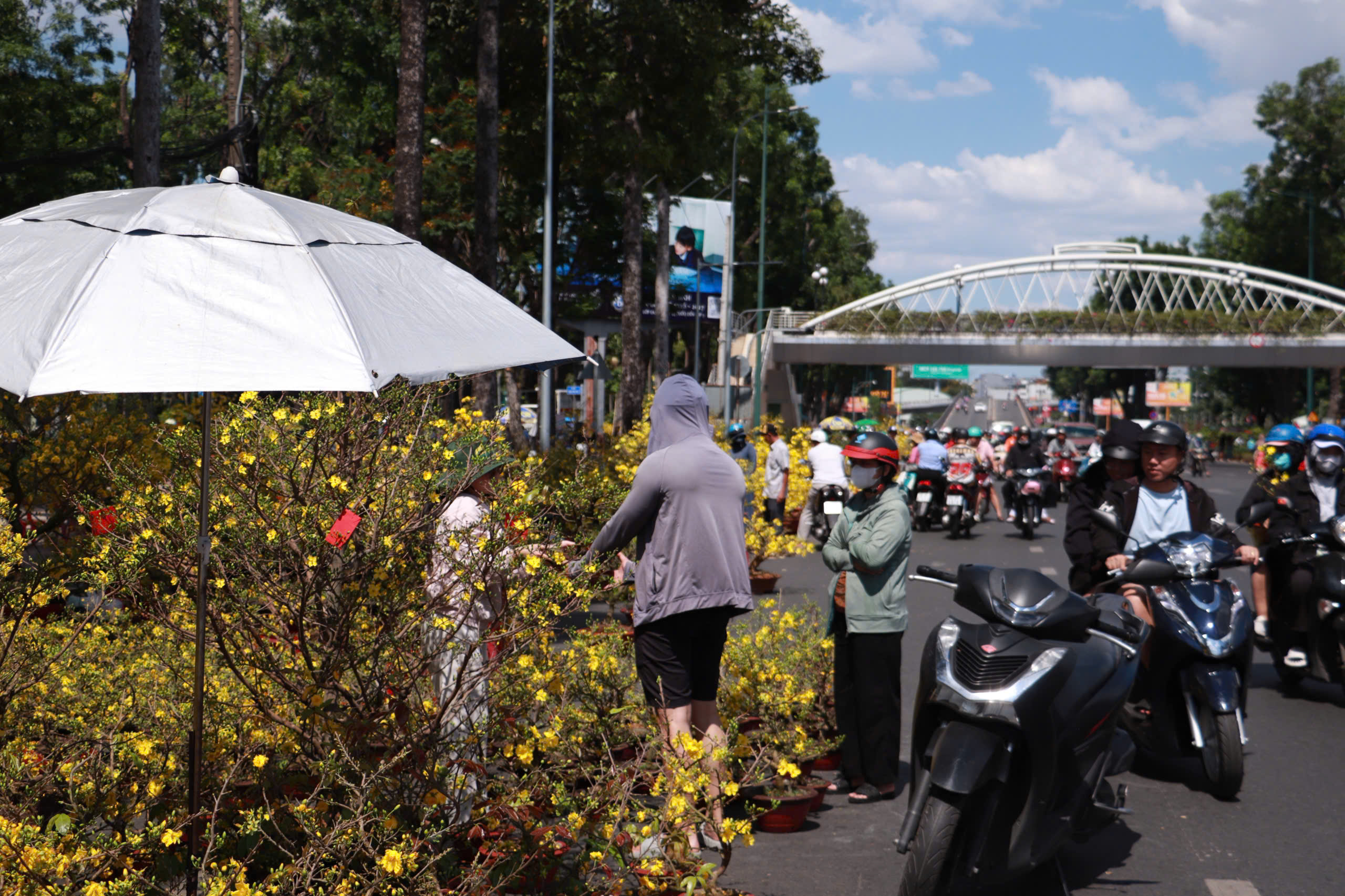 Chiều muộn 29 tết, chợ hoa Gia Định xả lỗ: Nhiều khách vẫn chê giá cao- Ảnh 2. Chiều muộn 29 tết, chợ hoa Gia Định xả lỗ: Nhiều khách vẫn chê giá cao- Ảnh 2.