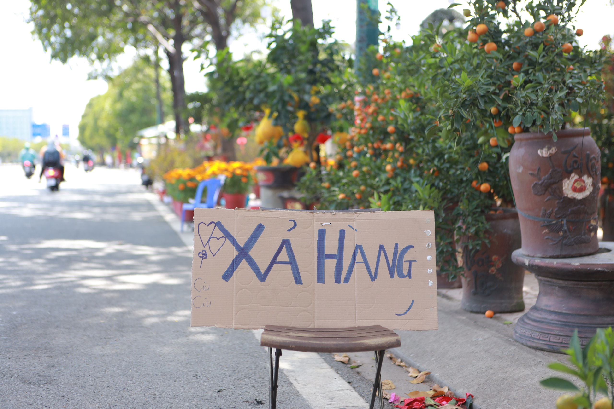 Hoa tết giảm gi&aacute; &ldquo;ch&aacute;y h&agrave;ng&rdquo; thu h&uacute;t người d&acirc;n mua dịp tết 2026 - Ảnh 1.