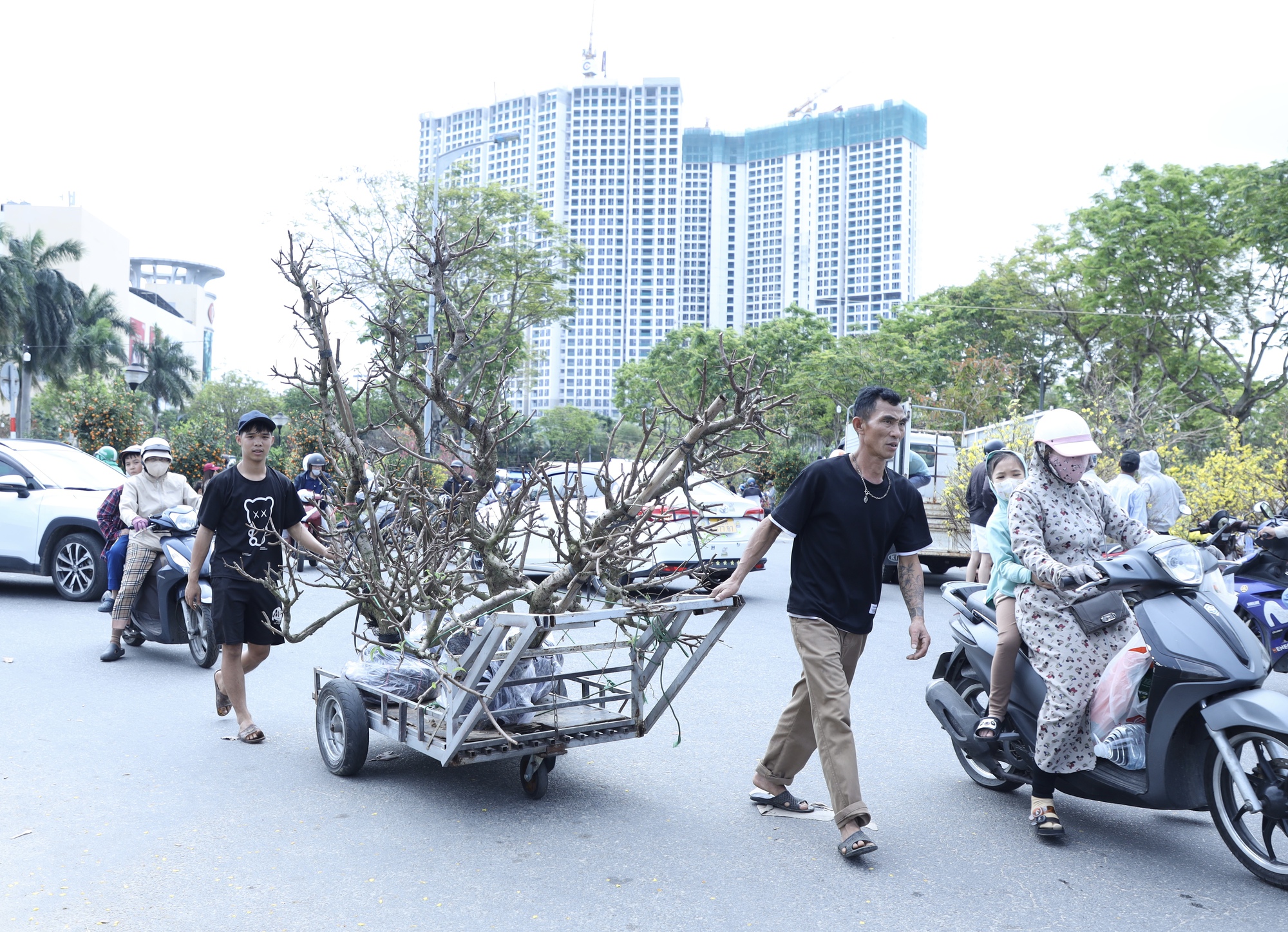 Chiều 29 Tết: Chợ hoa Đ&agrave; Nẵng trầm lắng, tiểu thương 'xả h&agrave;ng' vẫn ế ẩm- Ảnh 14.
